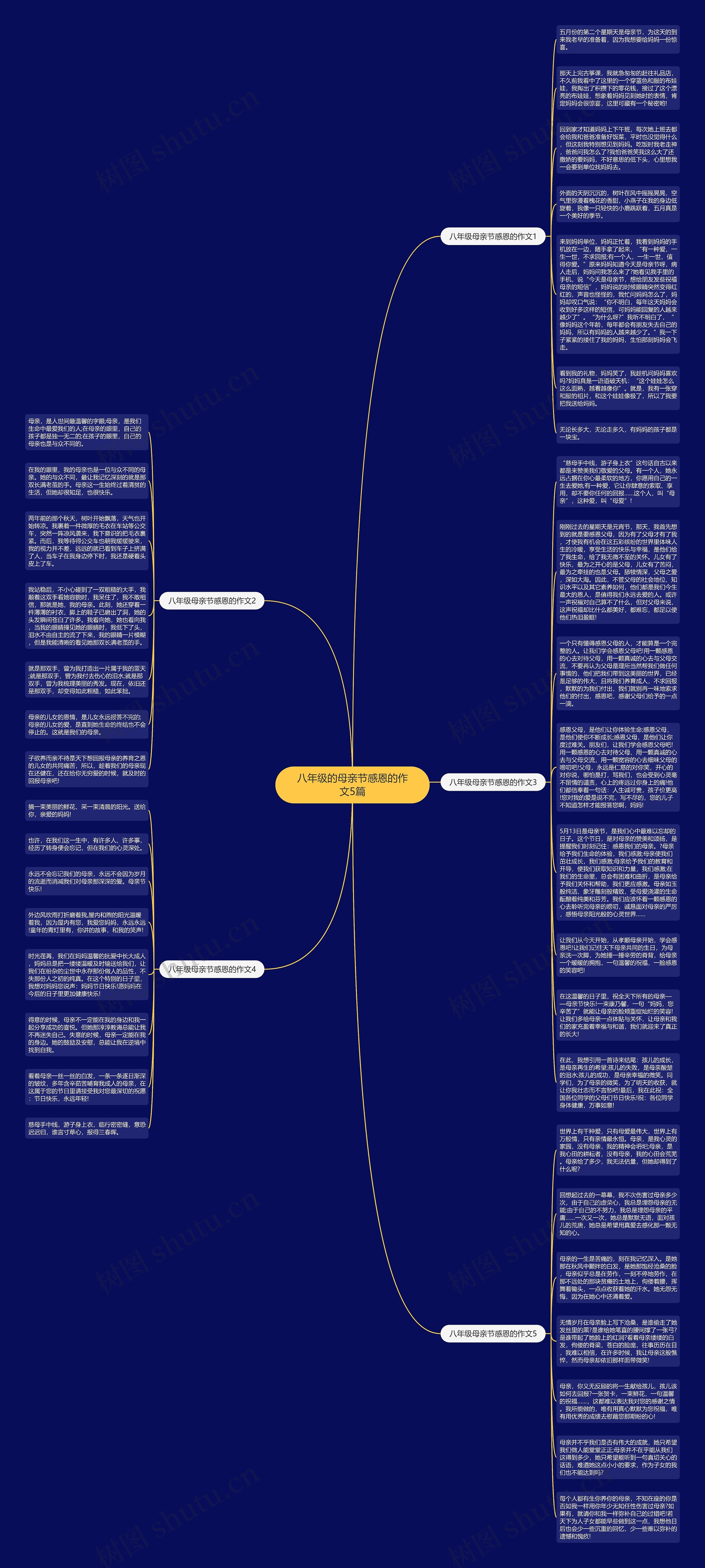 八年级的母亲节感恩的作文5篇思维导图