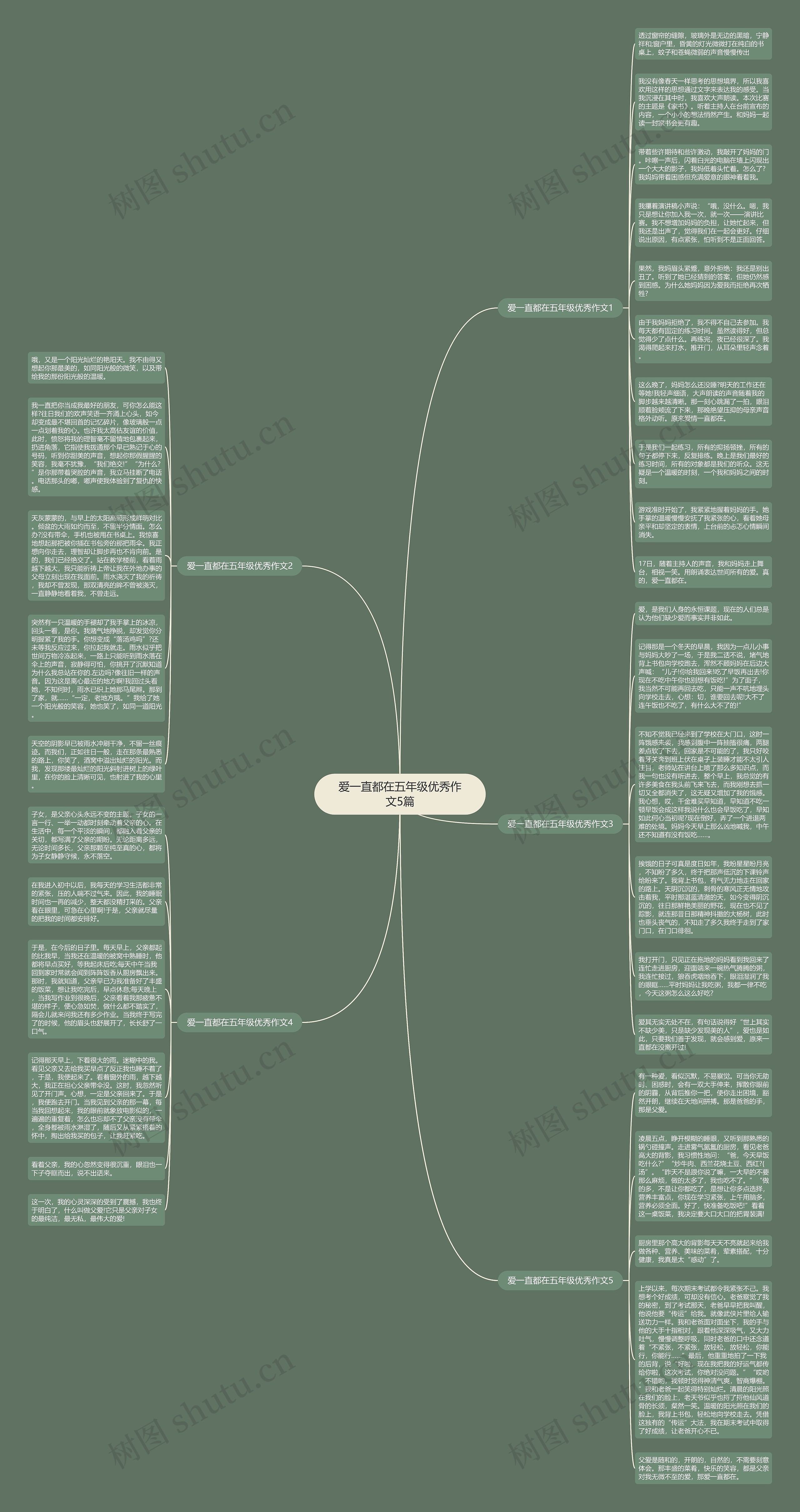 爱一直都在五年级优秀作文5篇思维导图
