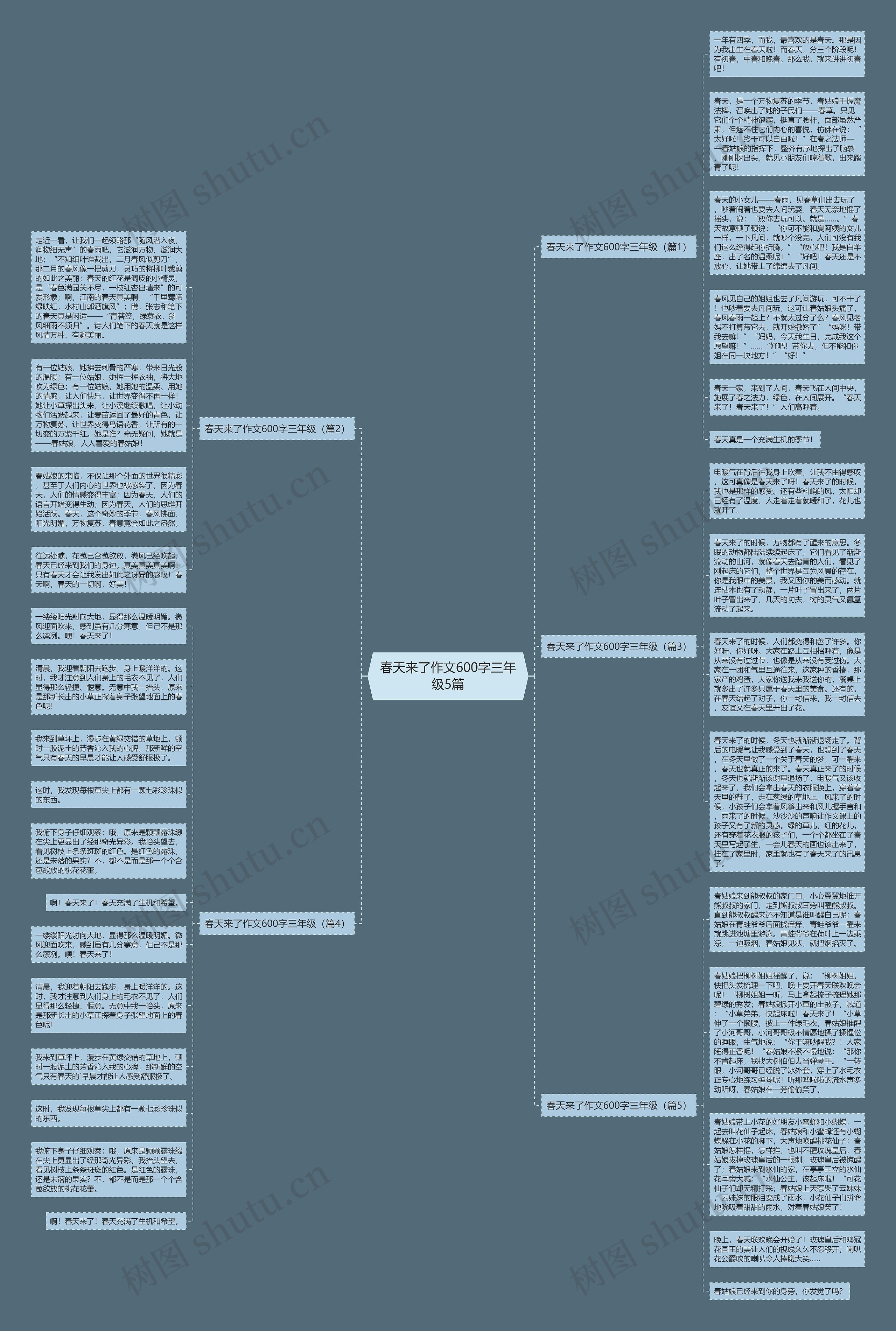 春天来了作文600字三年级5篇思维导图