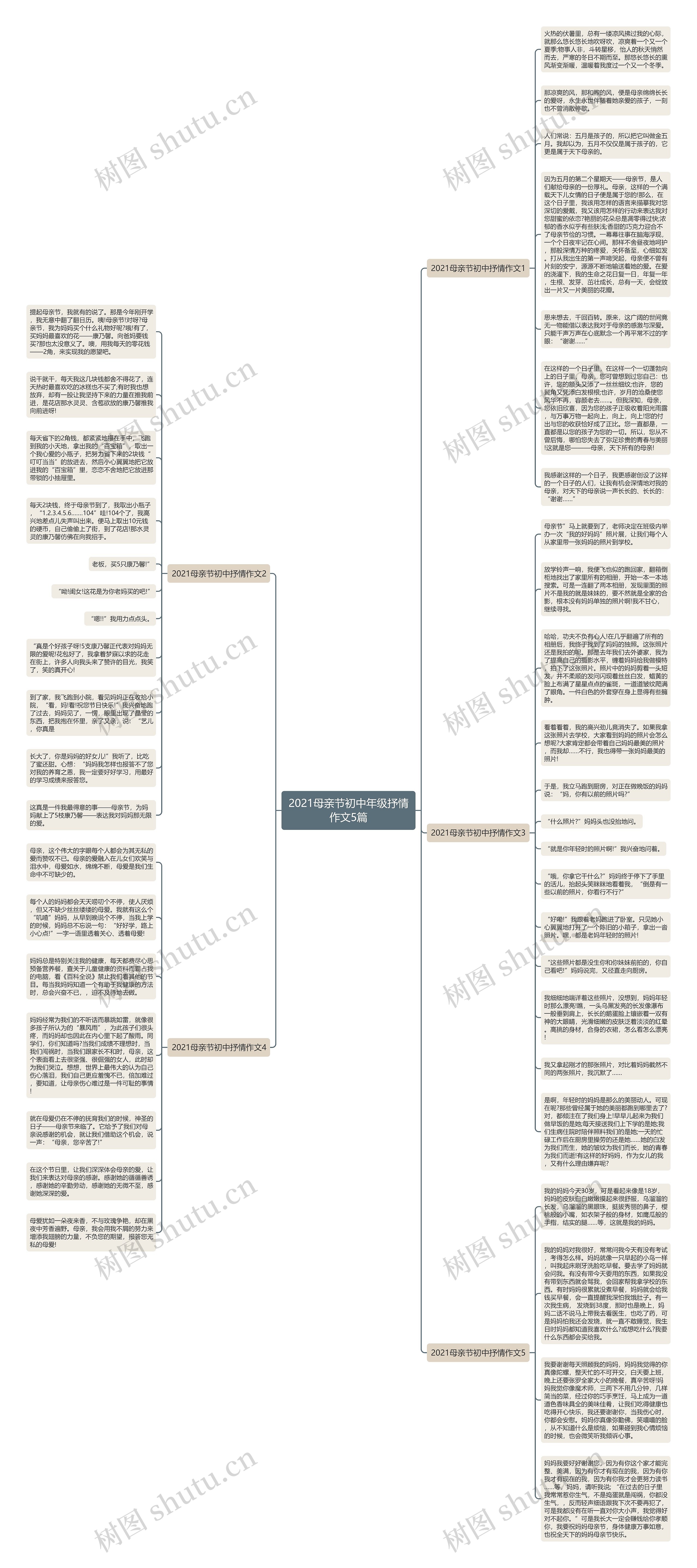 2021母亲节初中年级抒情作文5篇思维导图