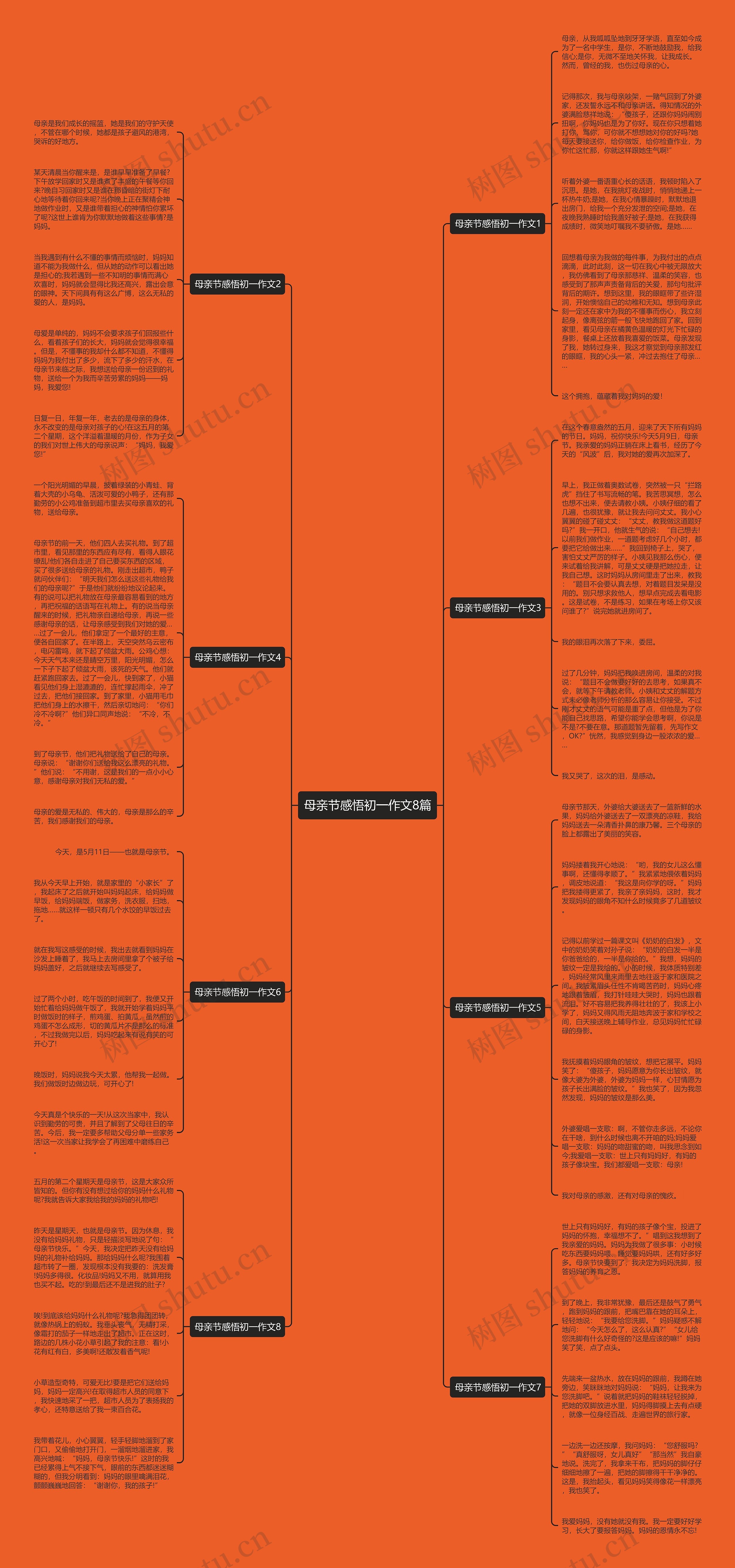 母亲节感悟初一作文8篇思维导图
