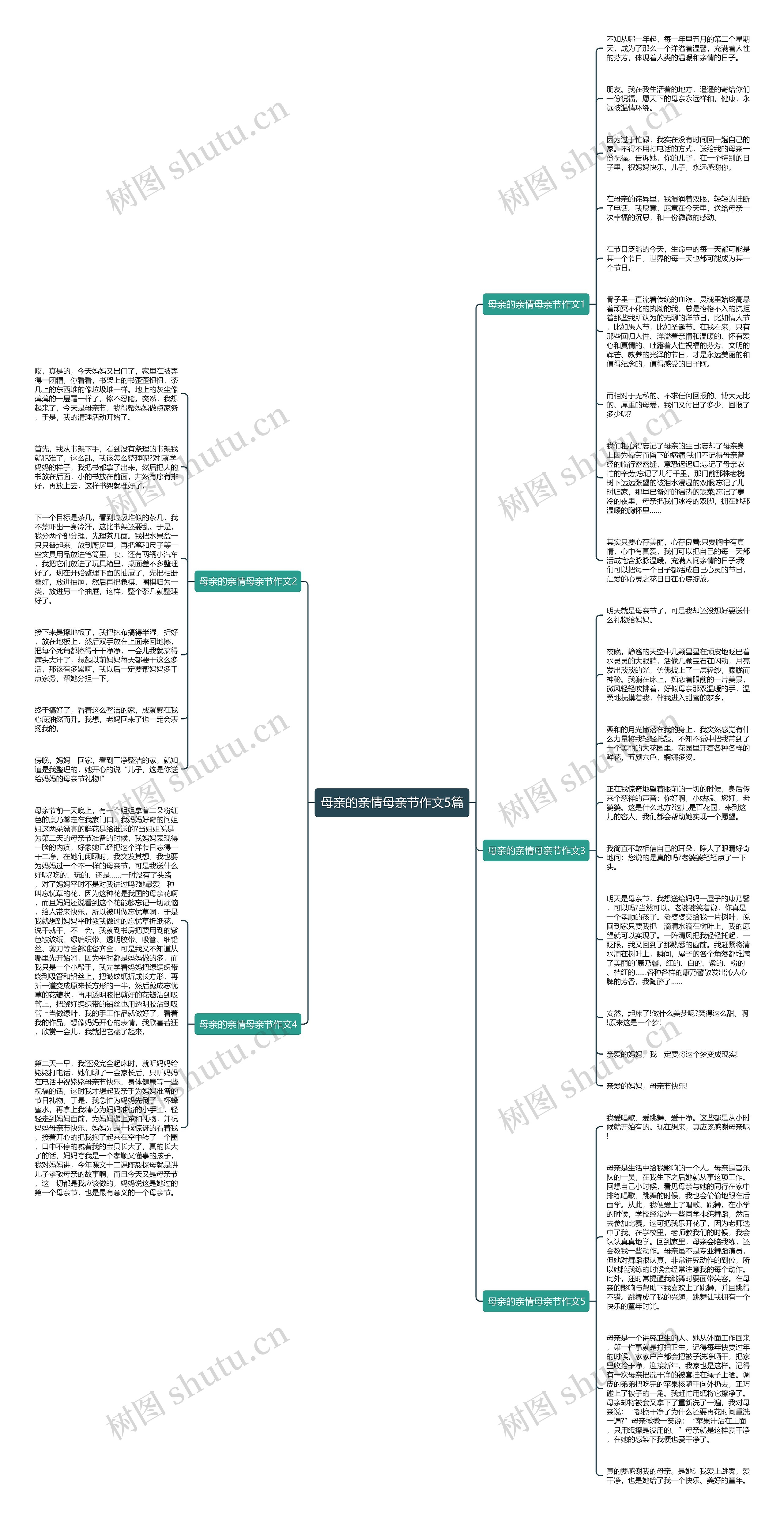 母亲的亲情母亲节作文5篇思维导图
