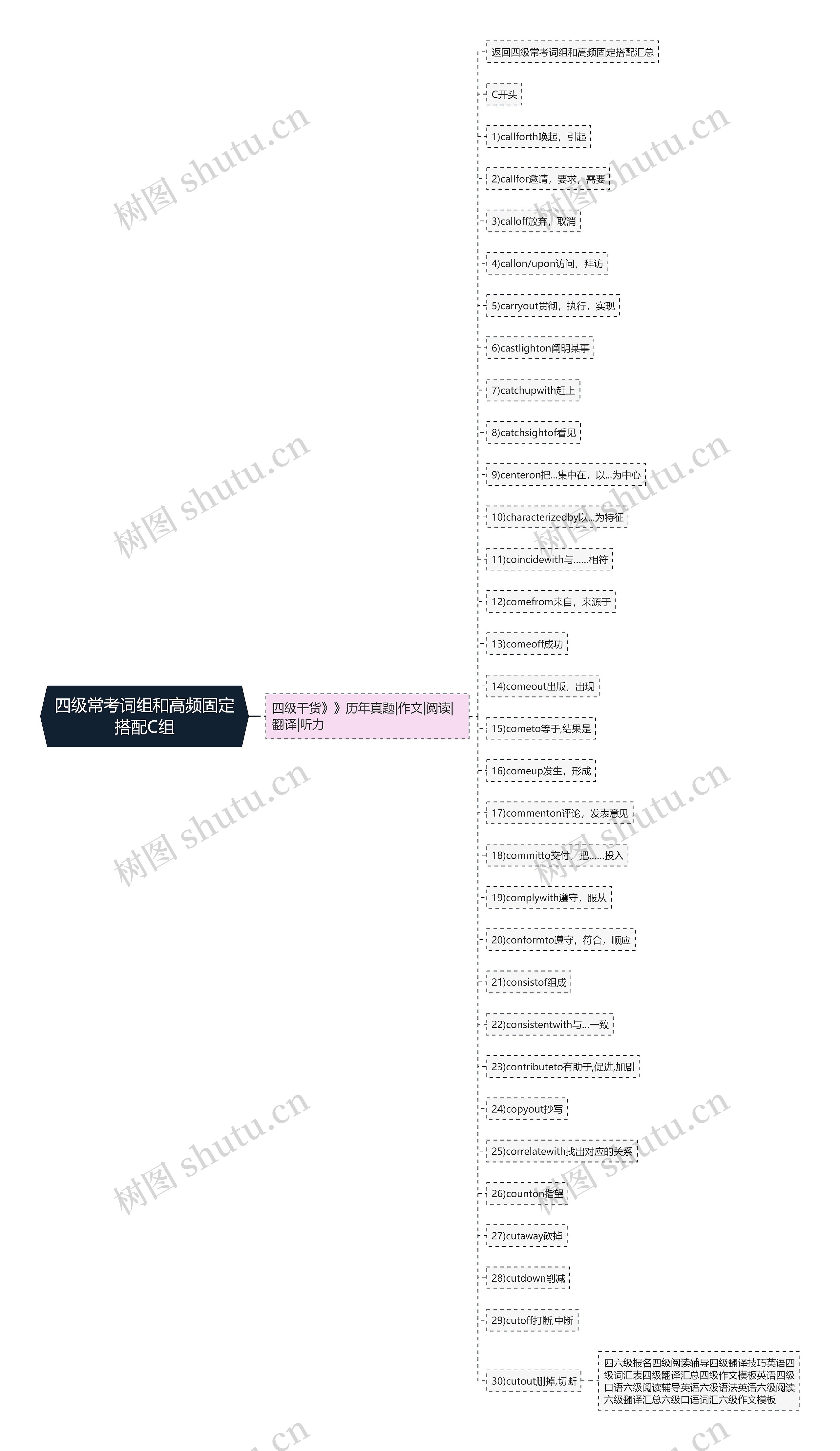 四级常考词组和高频固定搭配C组