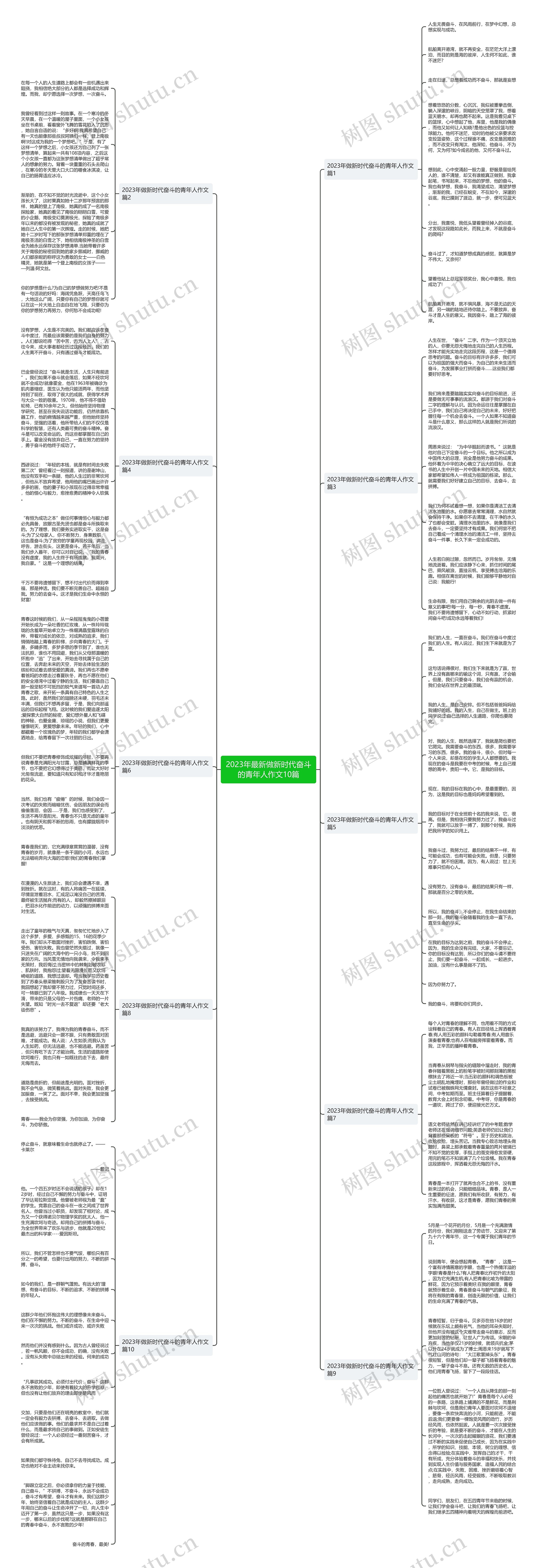 2023年最新做新时代奋斗的青年人作文10篇思维导图