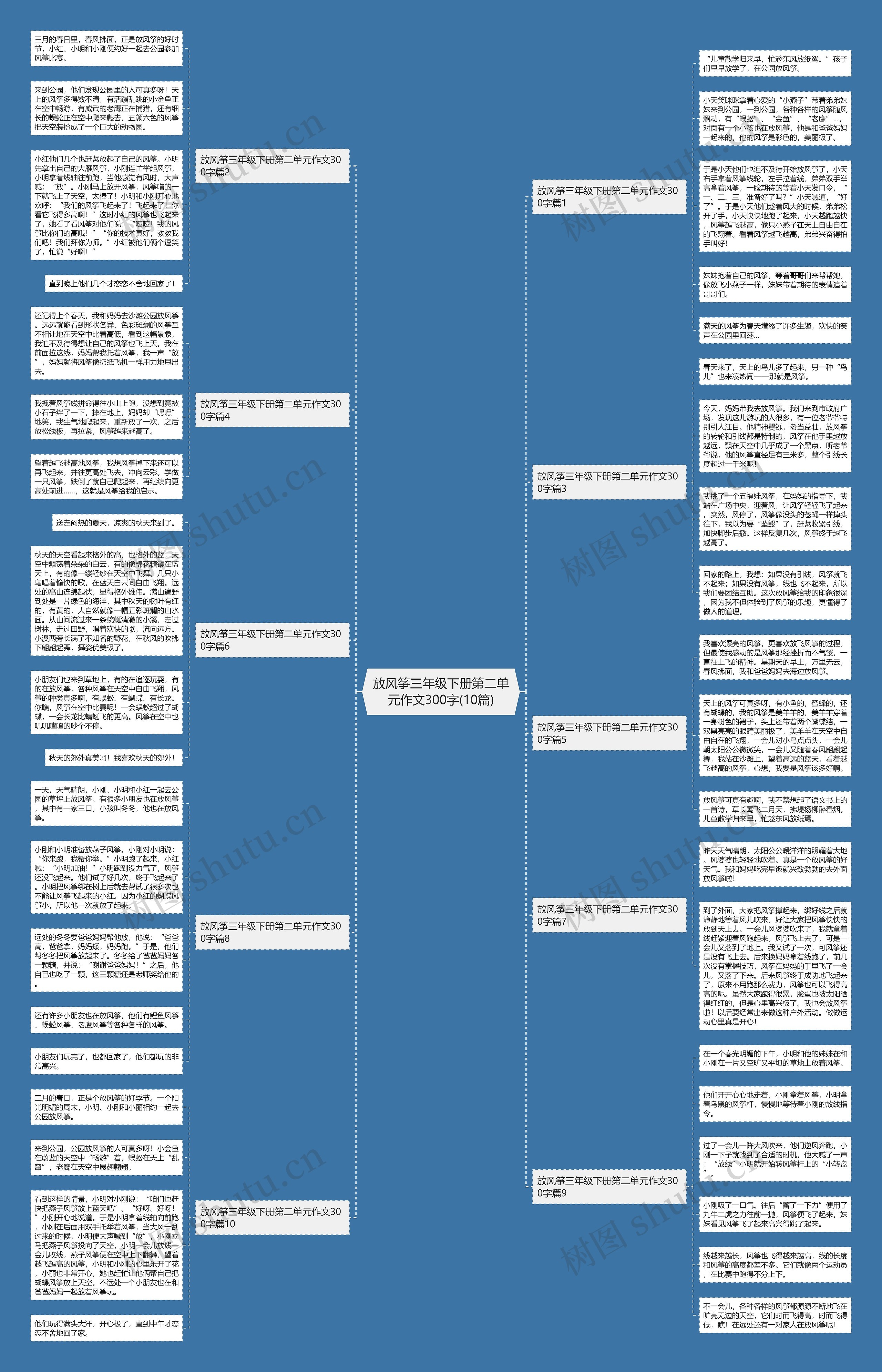放风筝三年级下册第二单元作文300字(10篇)思维导图