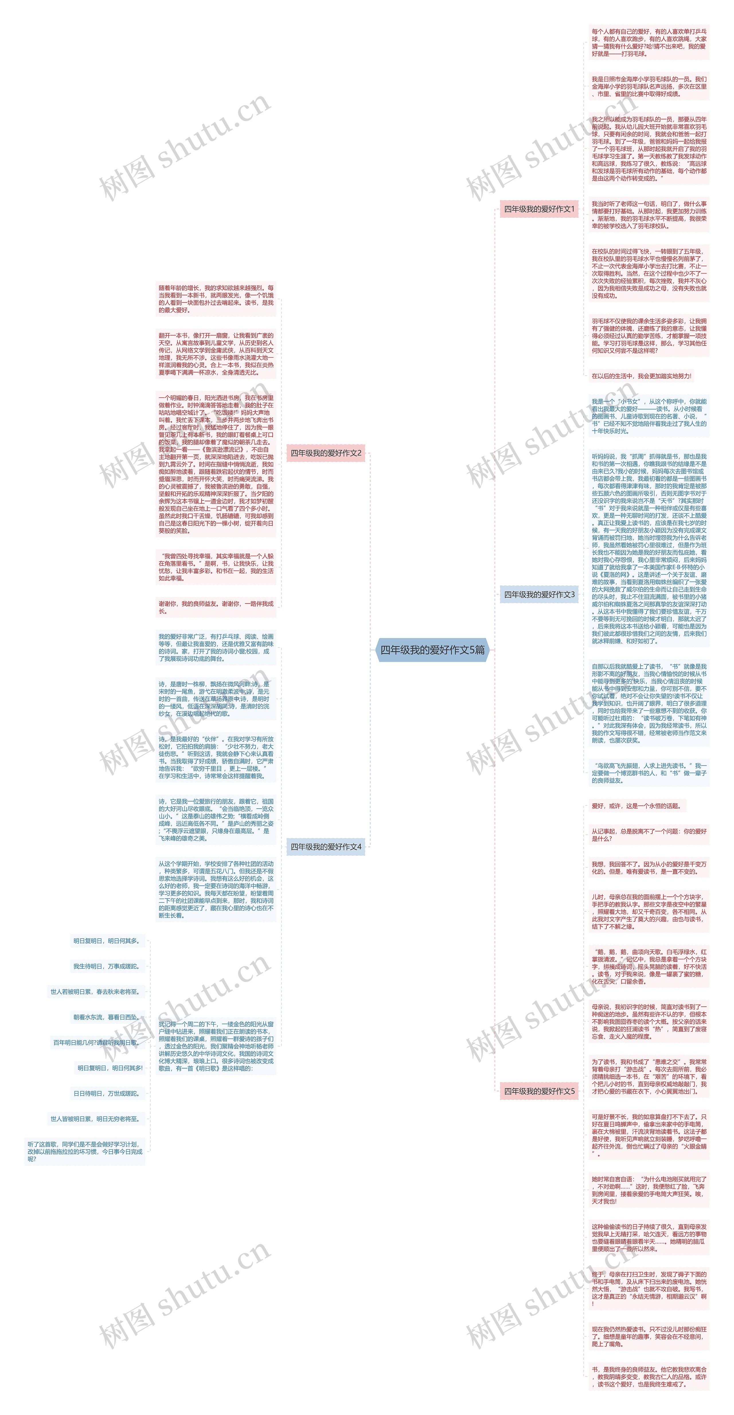 四年级我的爱好作文5篇思维导图