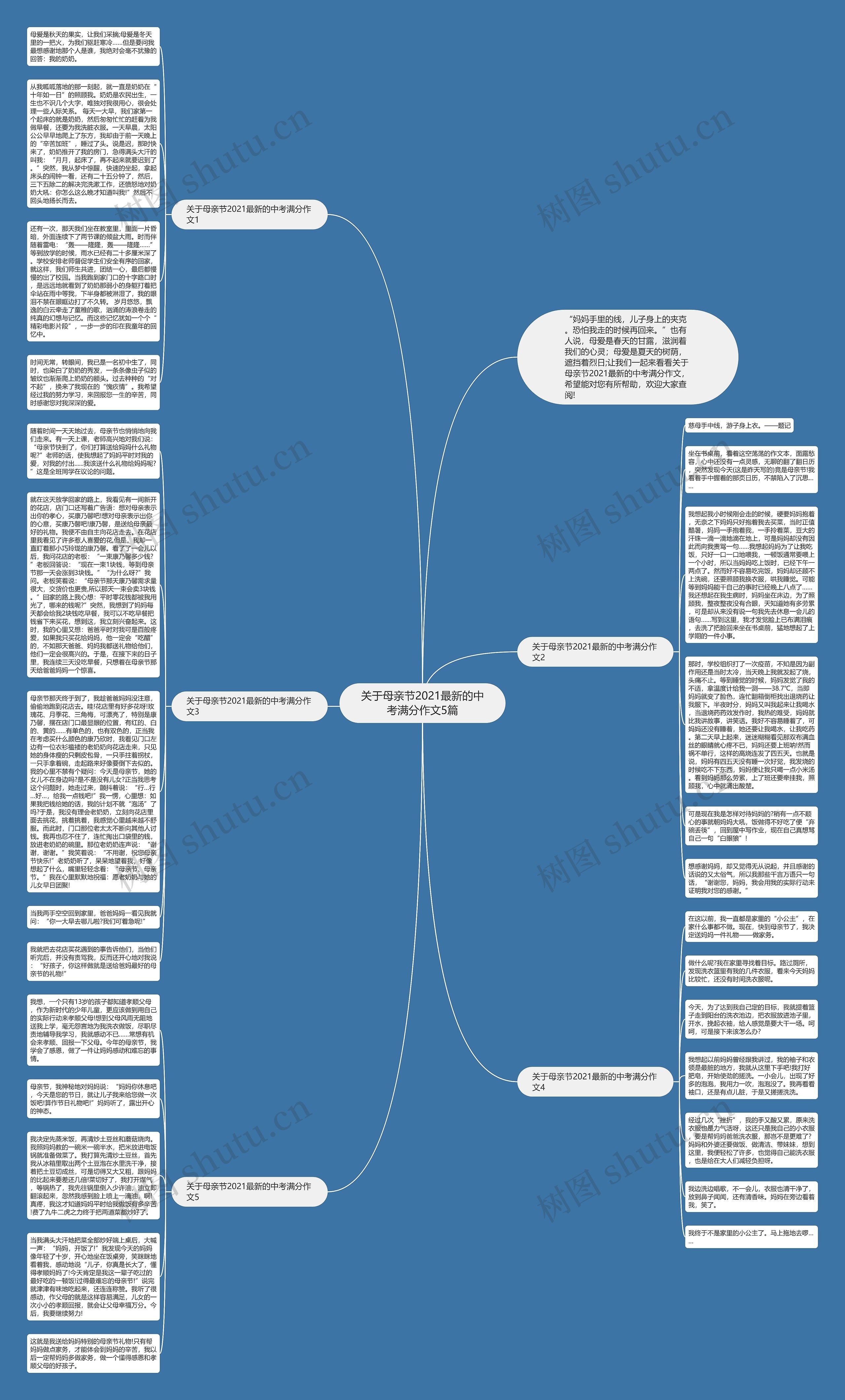 关于母亲节2021最新的中考满分作文5篇思维导图