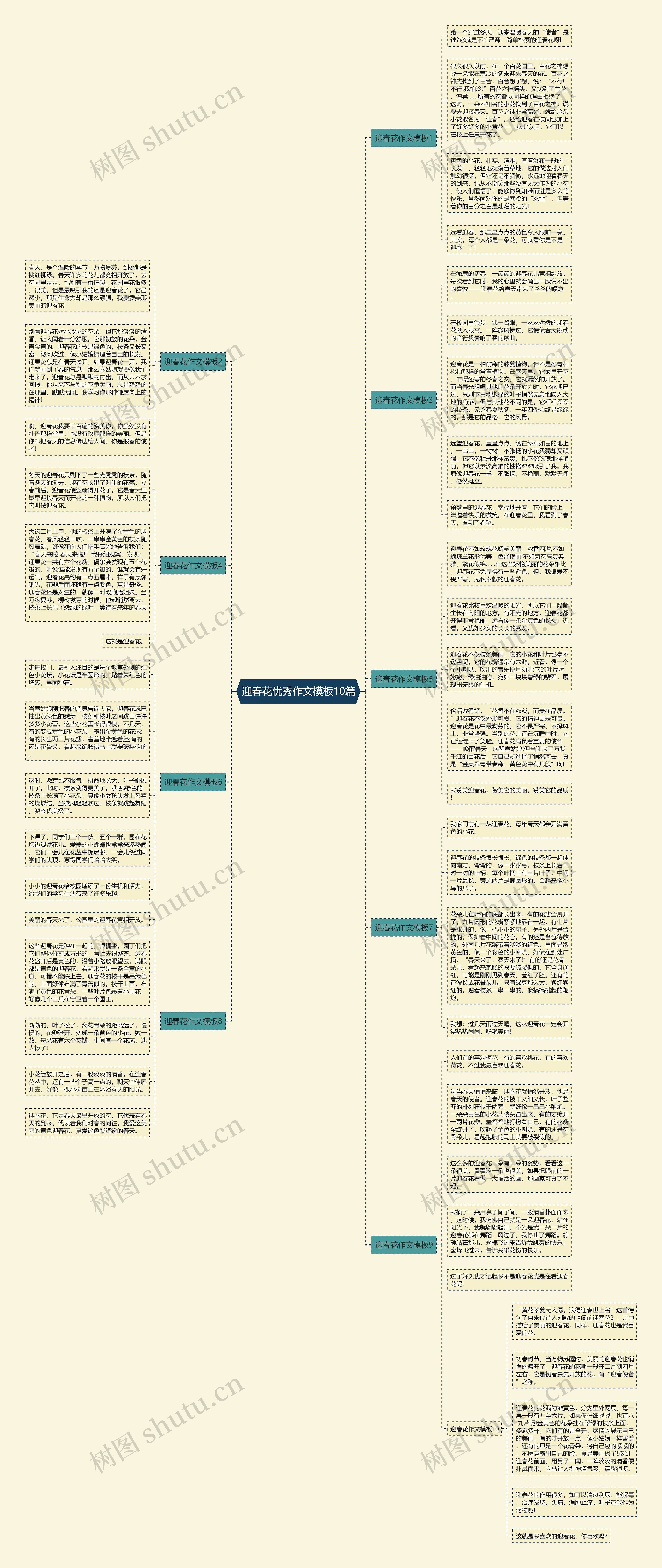 迎春花优秀作文模板10篇