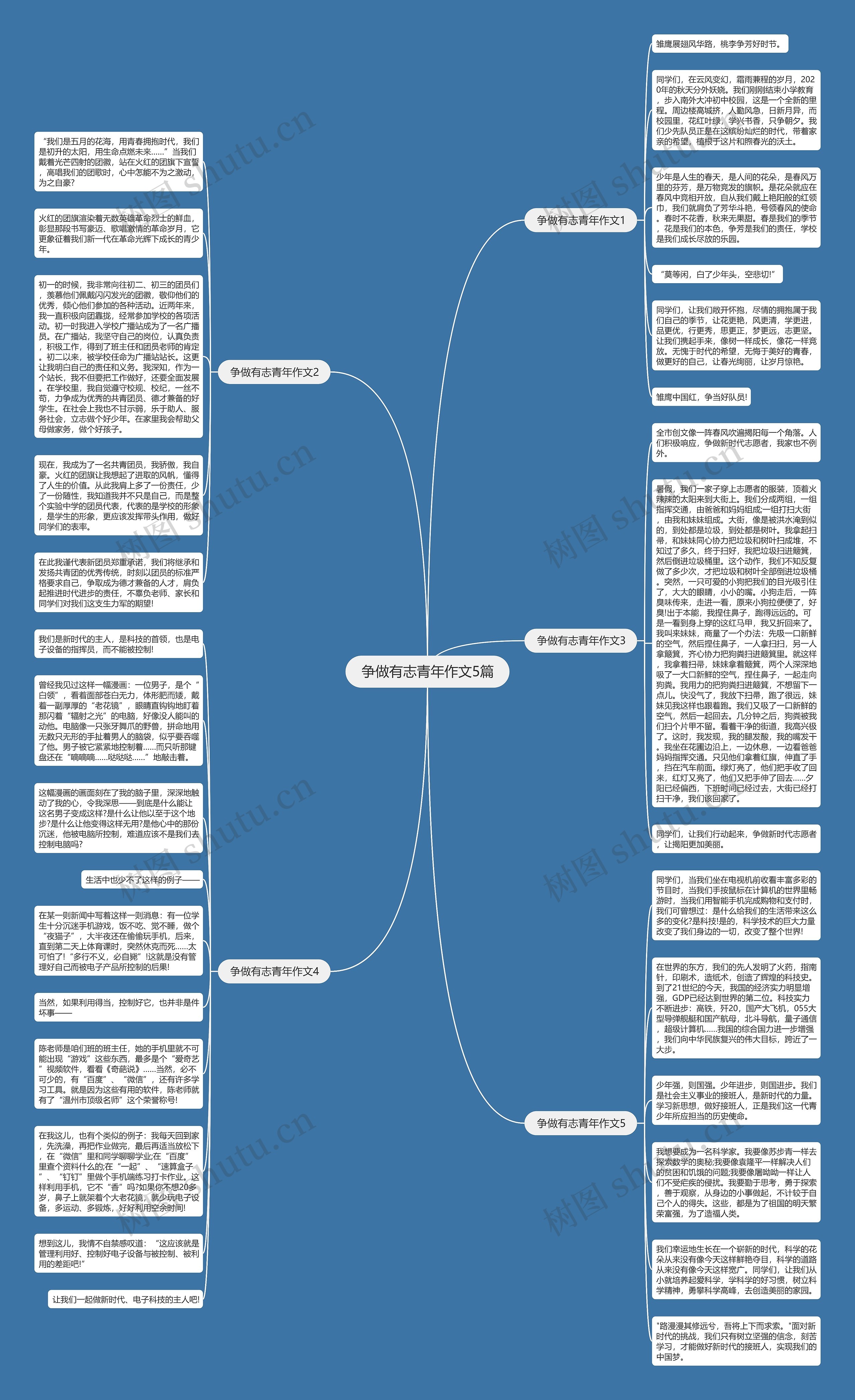 争做有志青年作文5篇思维导图