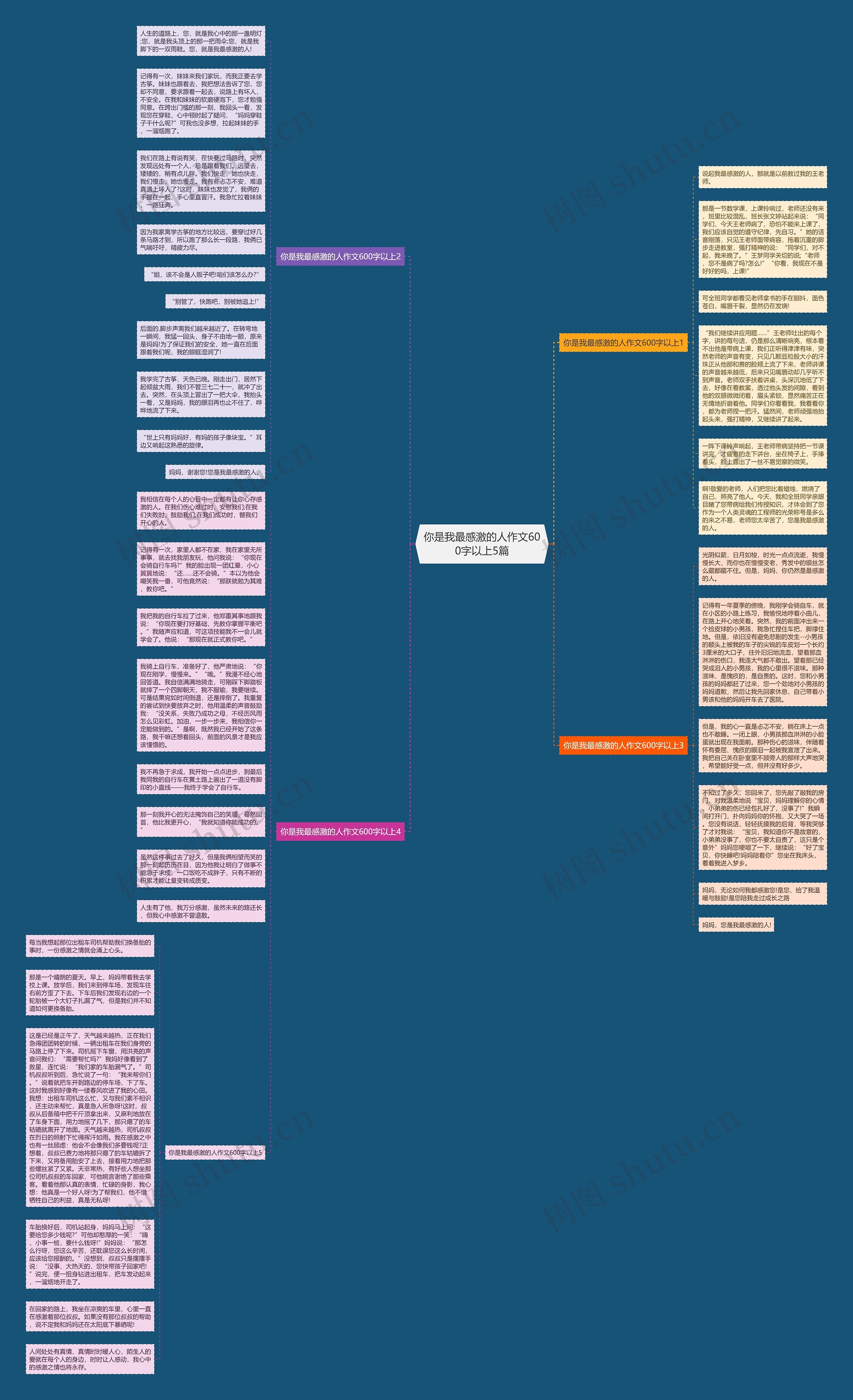 你是我最感激的人作文600字以上5篇思维导图