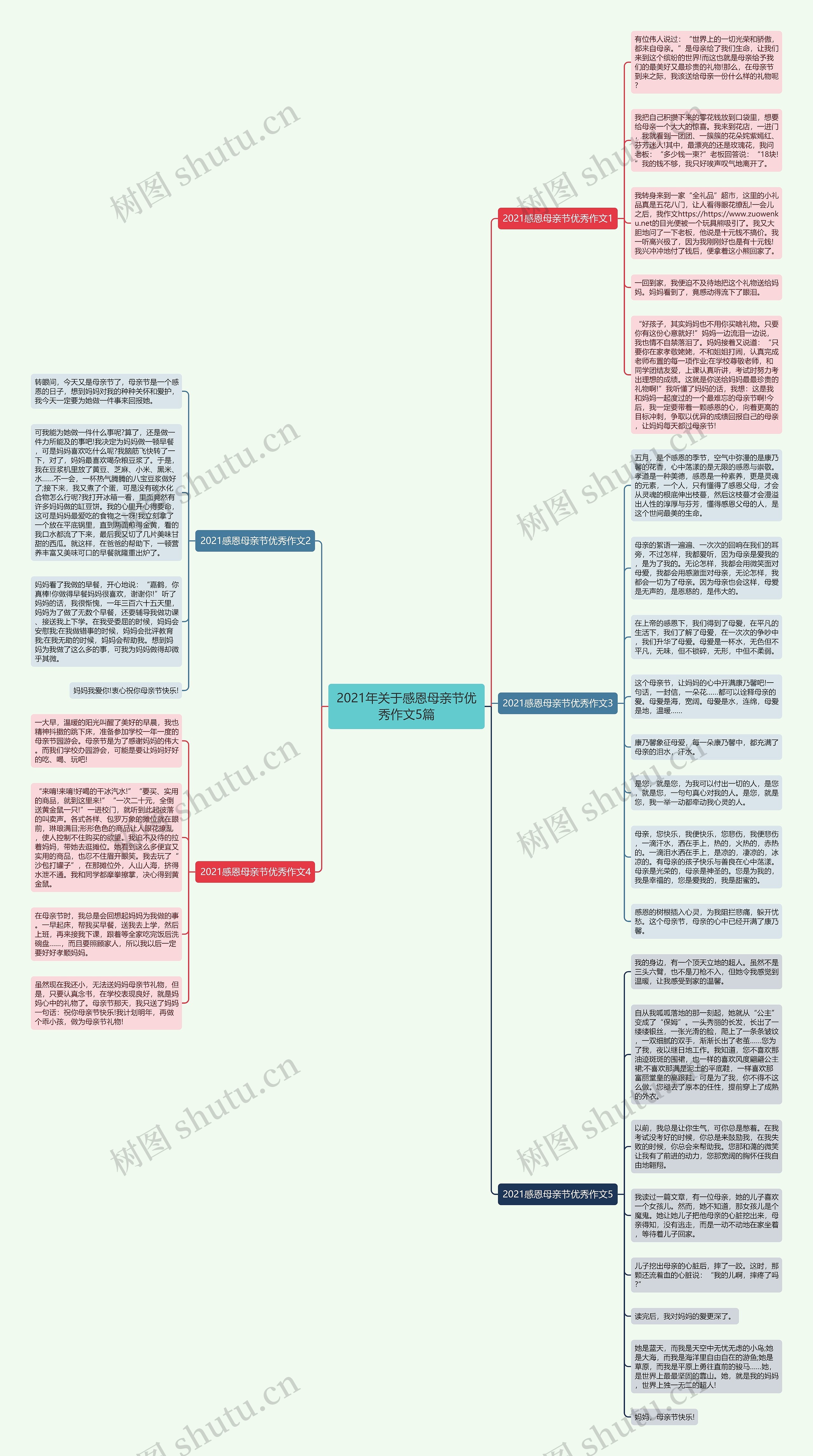 2021年关于感恩母亲节优秀作文5篇