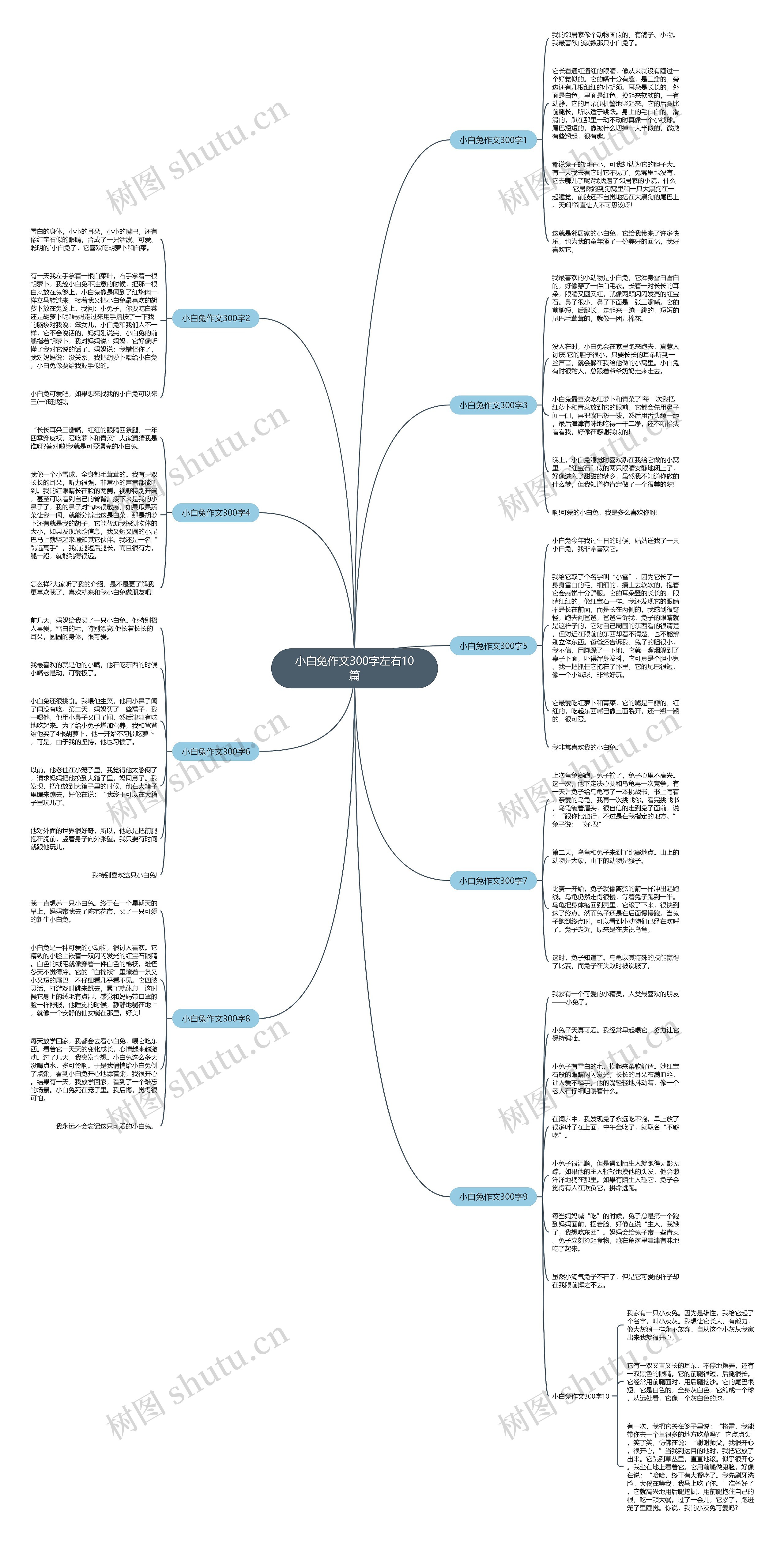 小白兔作文300字左右10篇