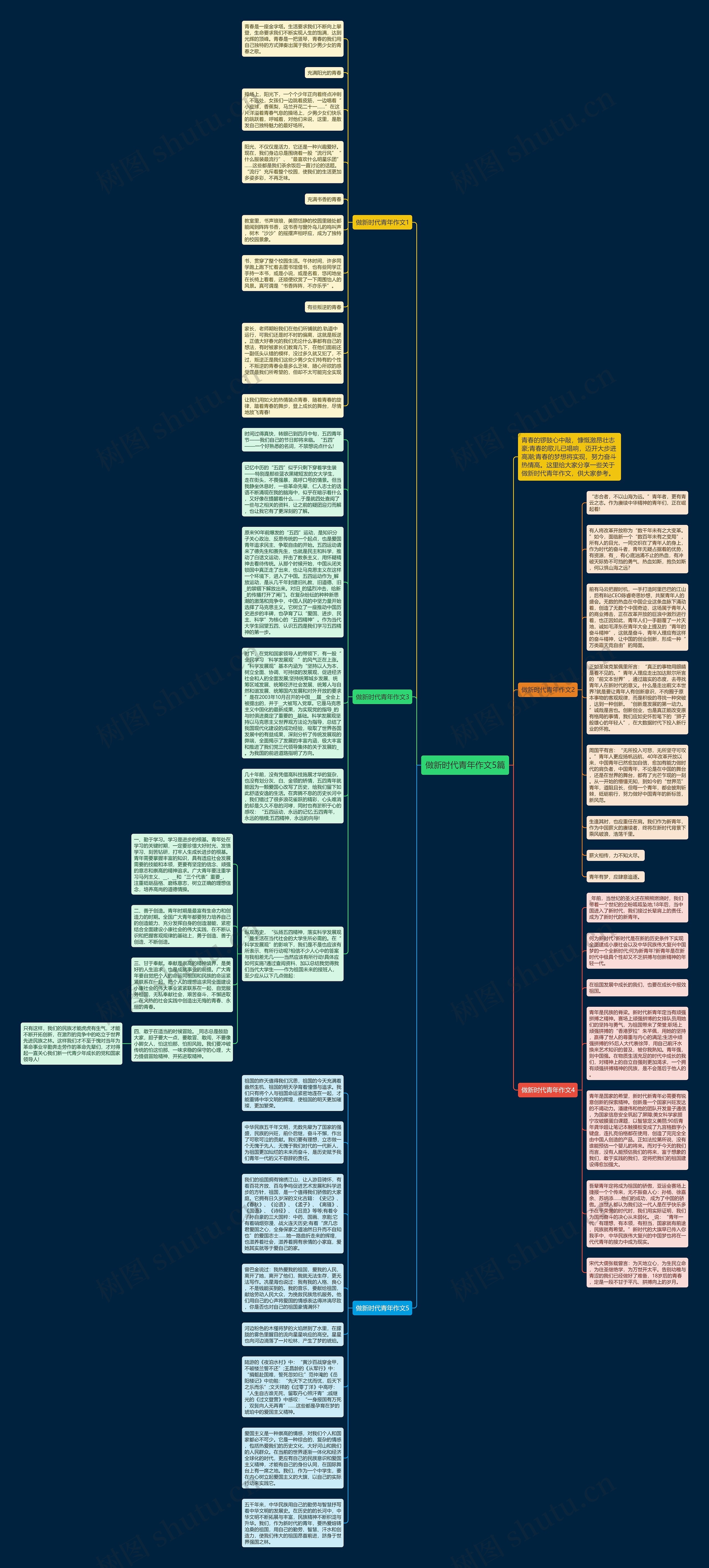 做新时代青年作文5篇思维导图
