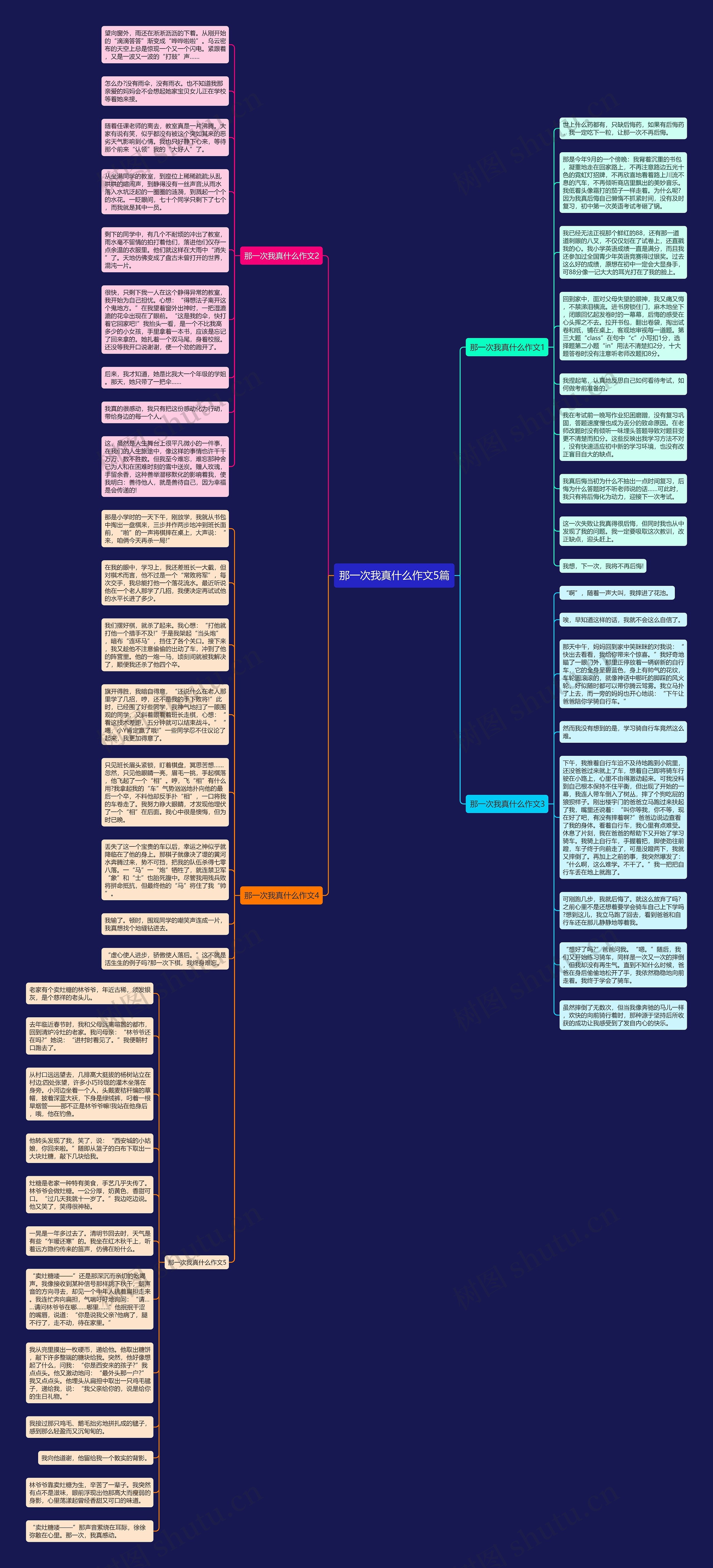 那一次我真什么作文5篇思维导图