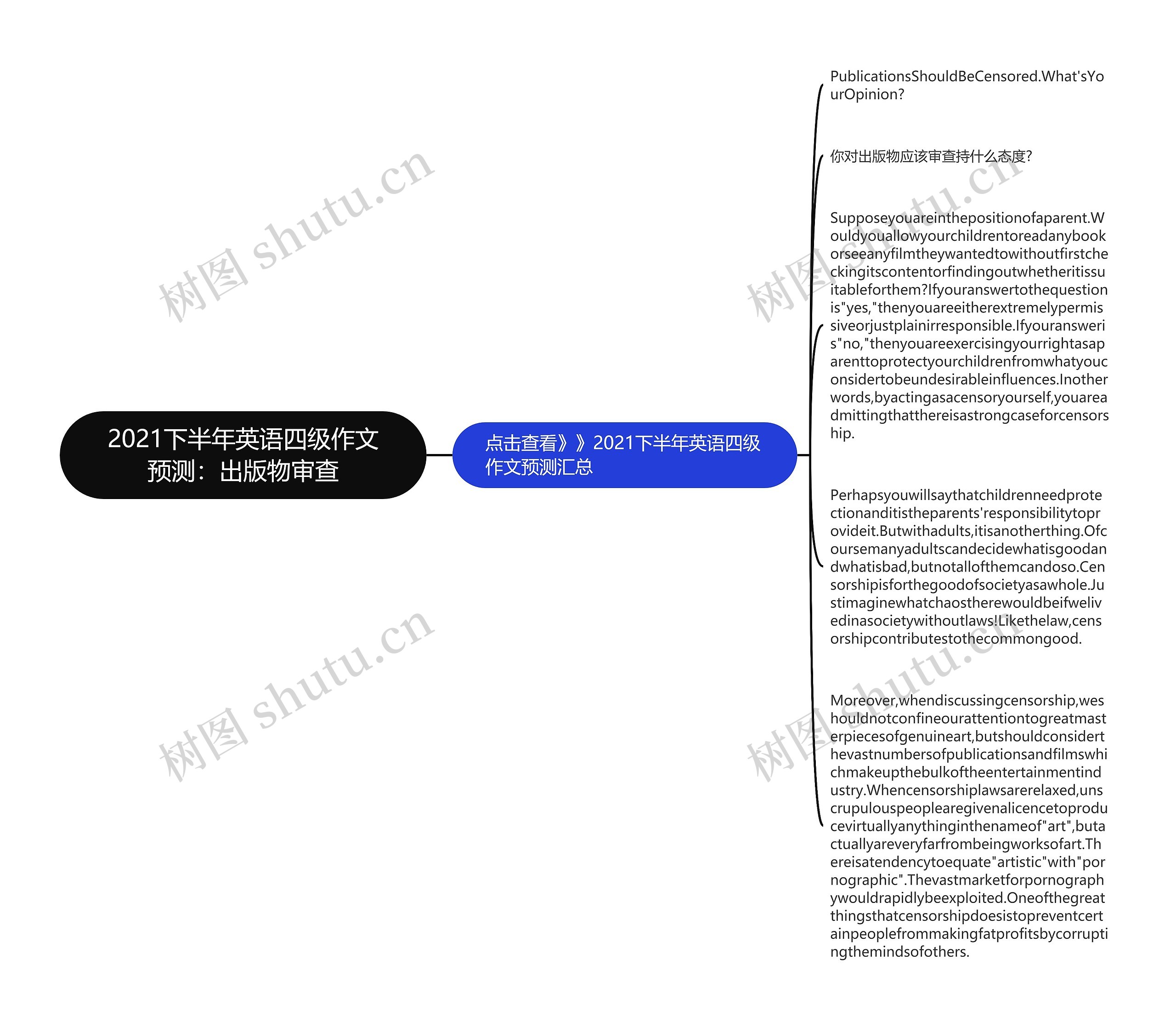 2021下半年英语四级作文预测：出版物审查