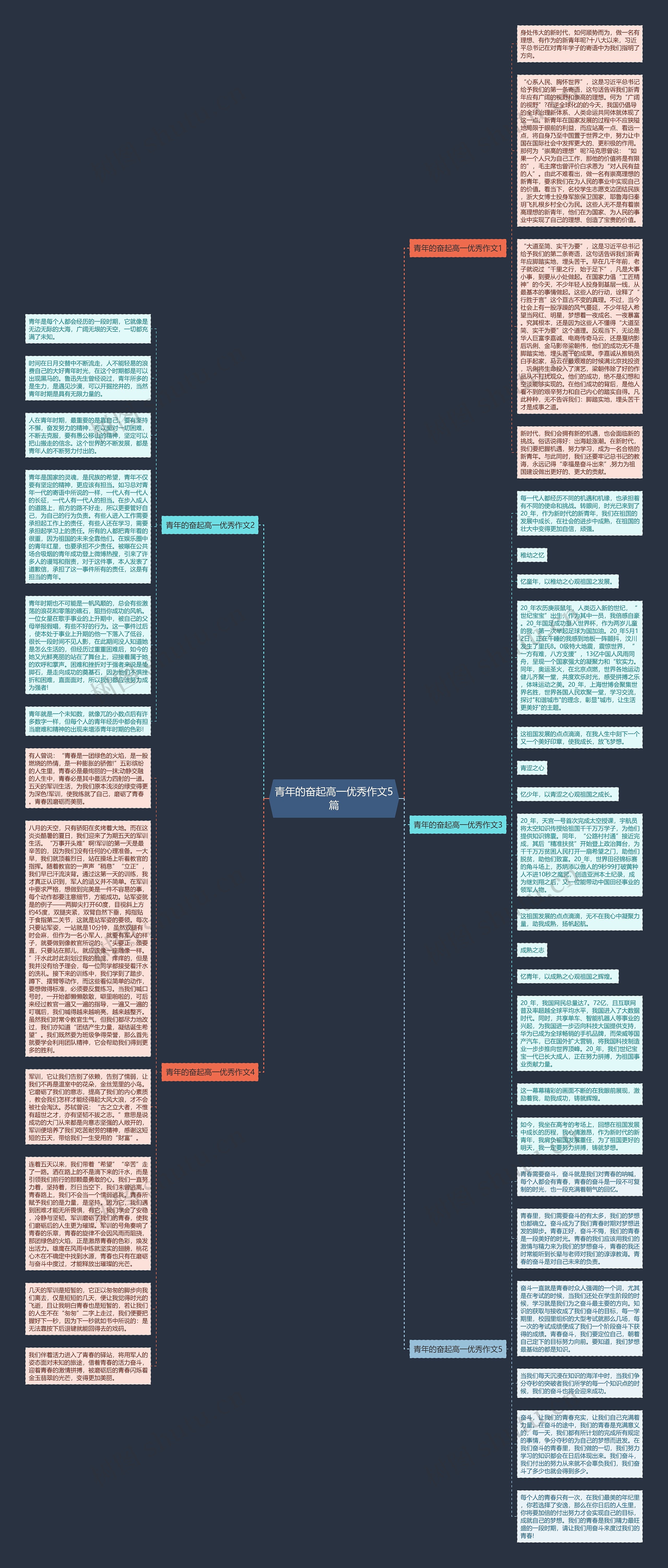 青年的奋起高一优秀作文5篇思维导图
