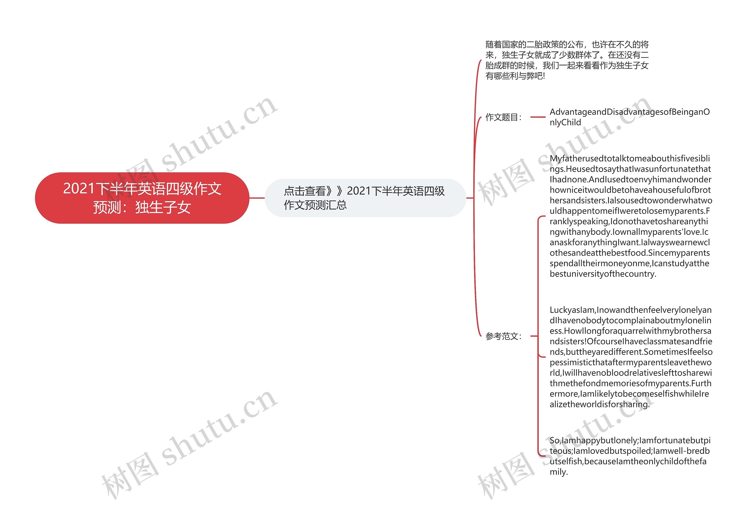 2021下半年英语四级作文预测：独生子女思维导图