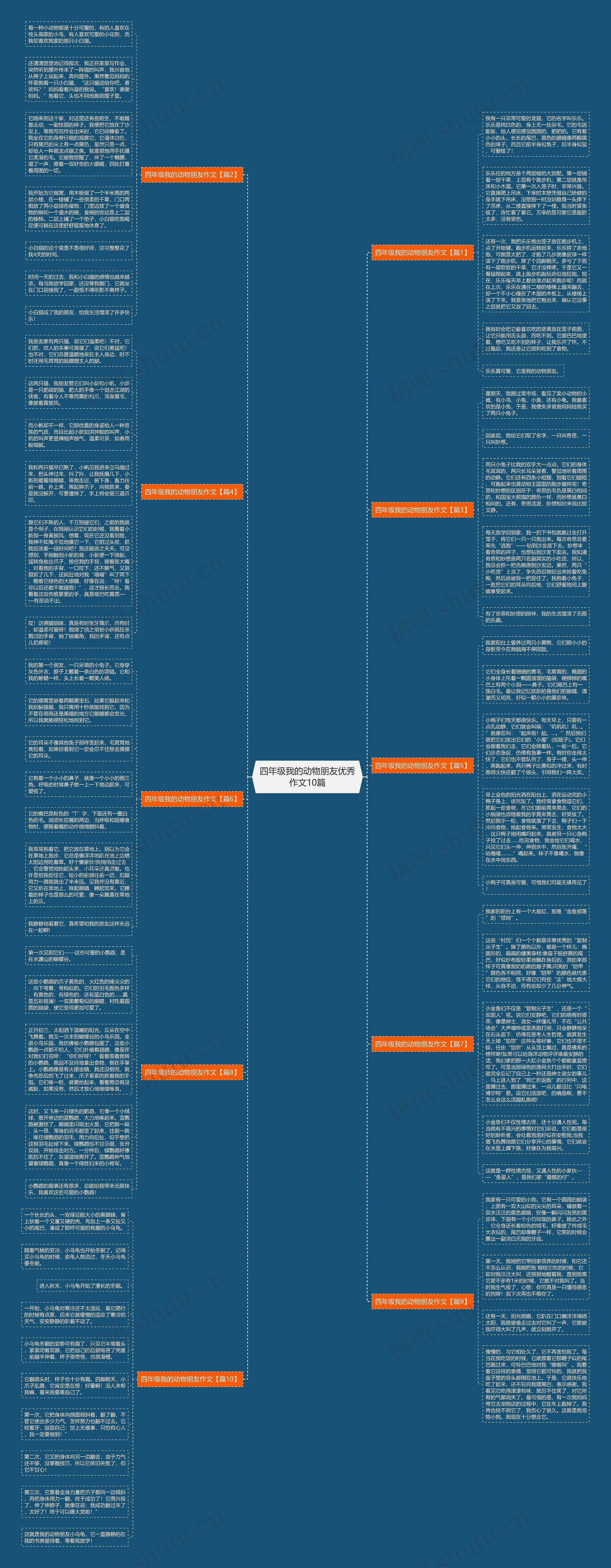 四年级我的动物朋友优秀作文10篇思维导图
