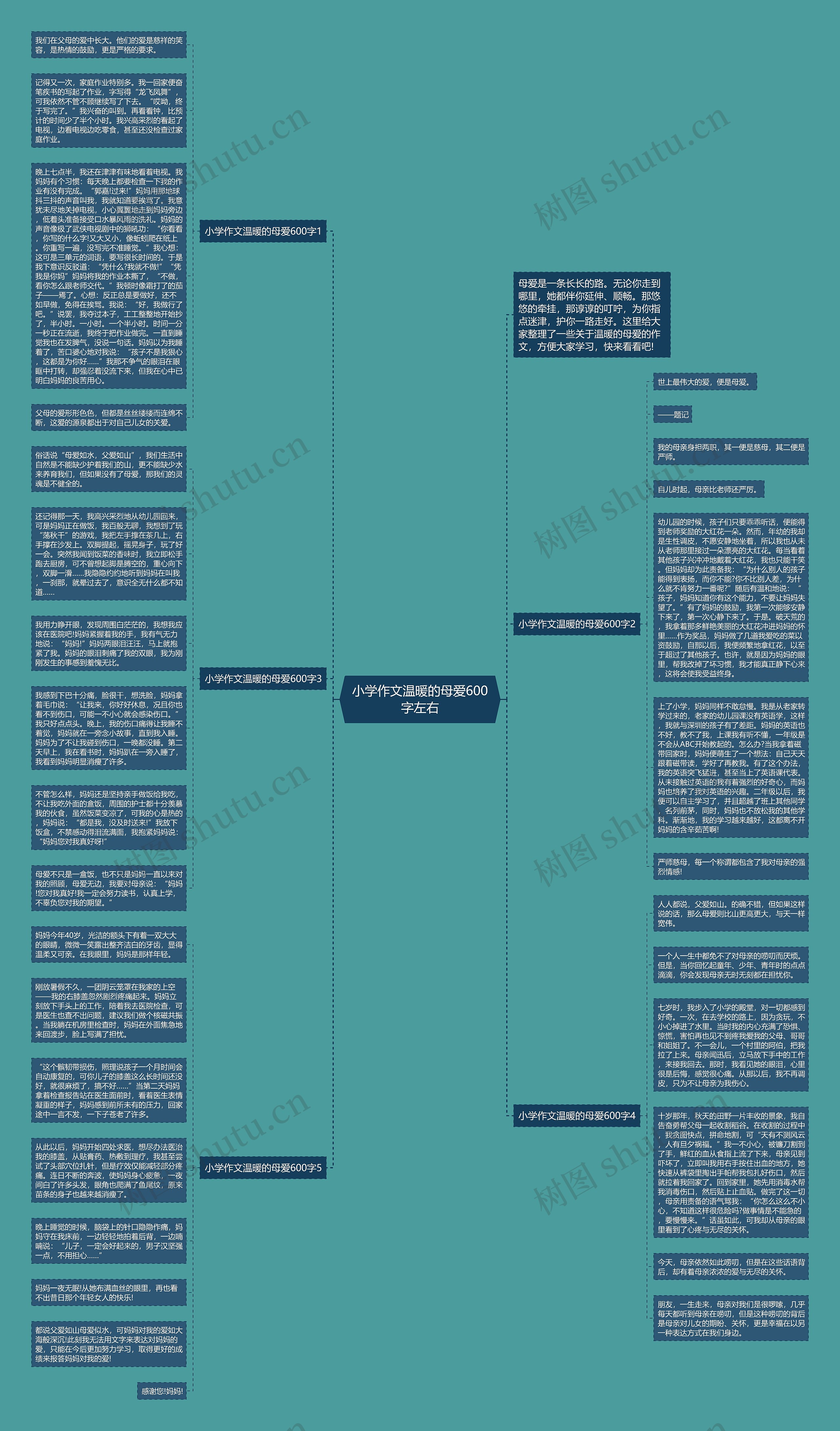 小学作文温暖的母爱600字左右思维导图