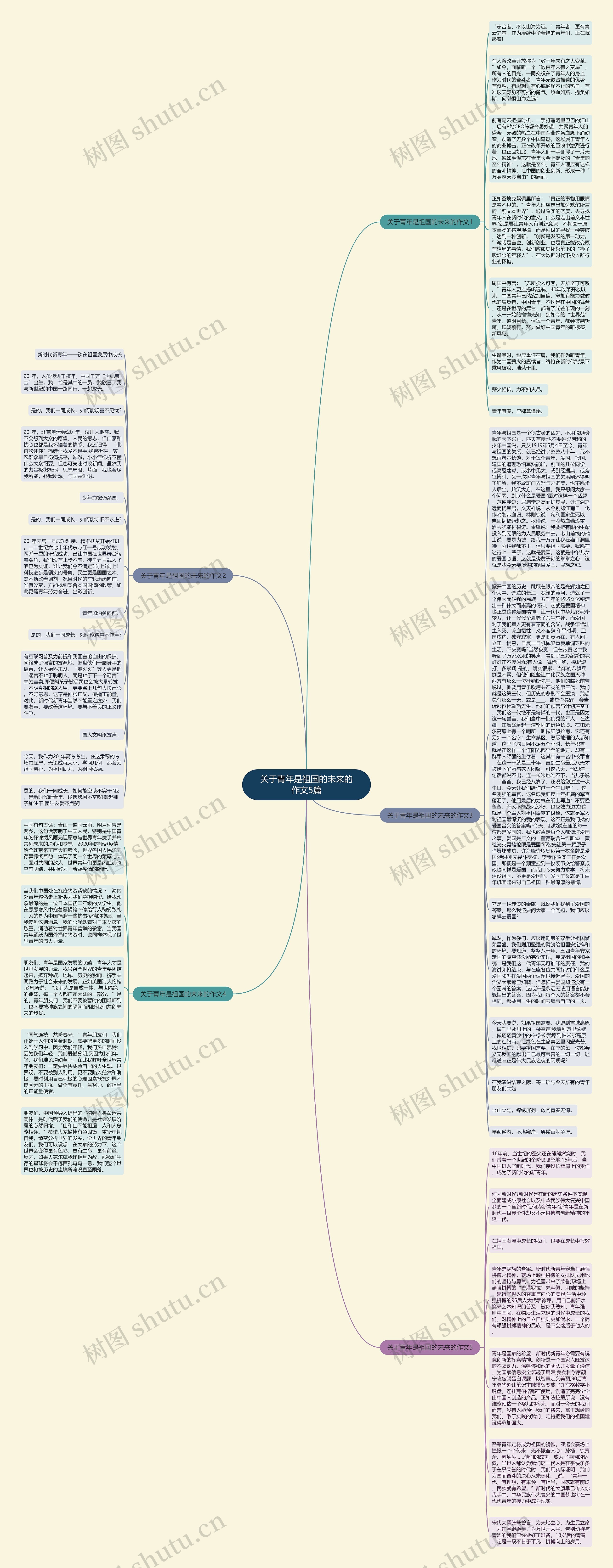 关于青年是祖国的未来的作文5篇思维导图