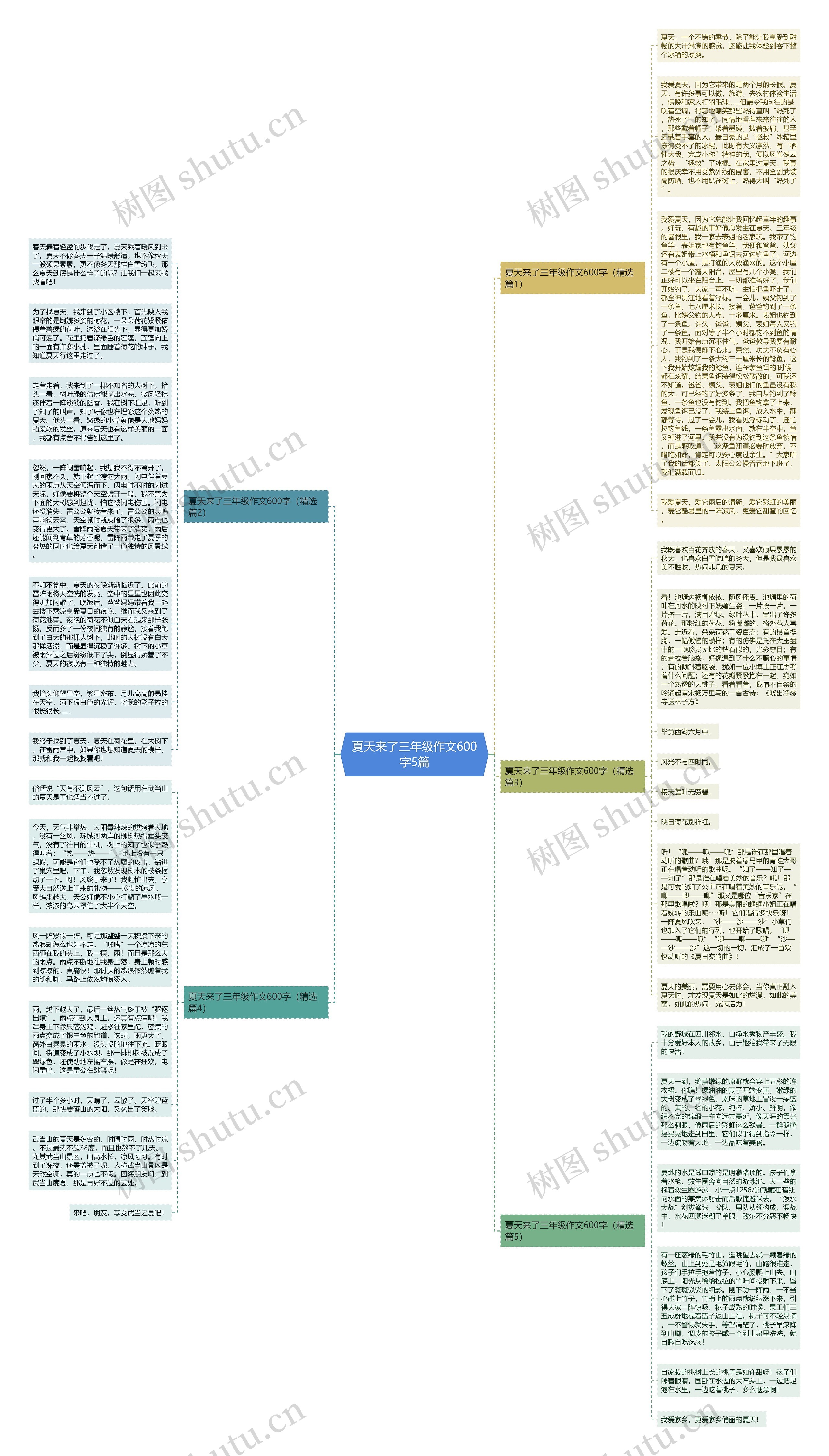 夏天来了三年级作文600字5篇思维导图