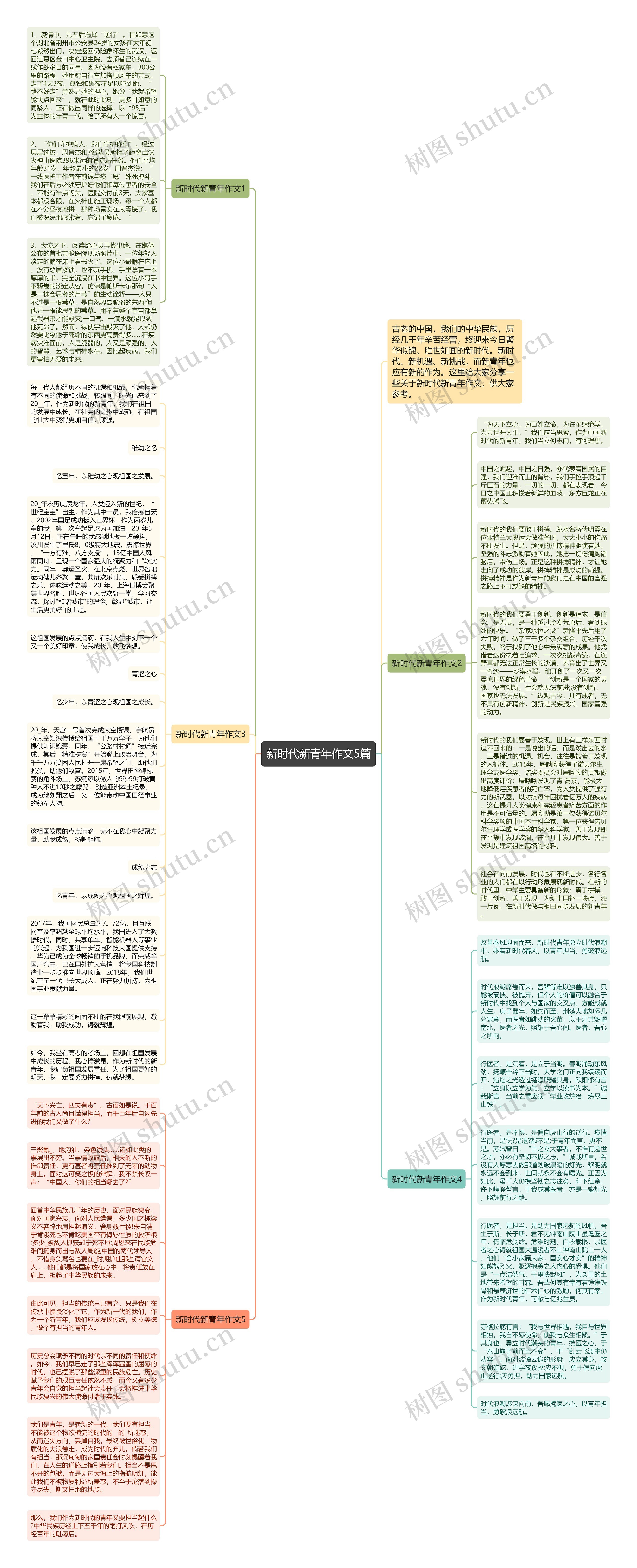 新时代新青年作文5篇思维导图