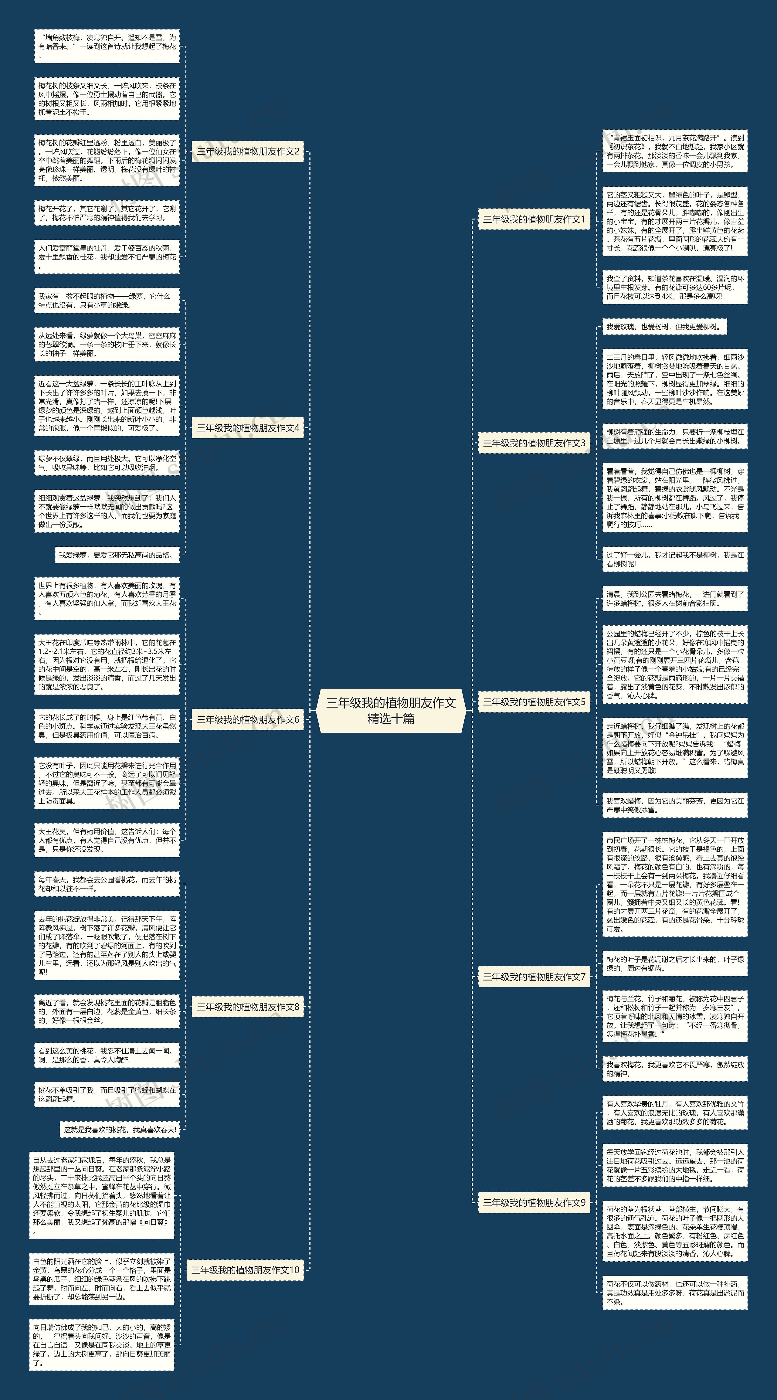 三年级我的植物朋友作文精选十篇思维导图