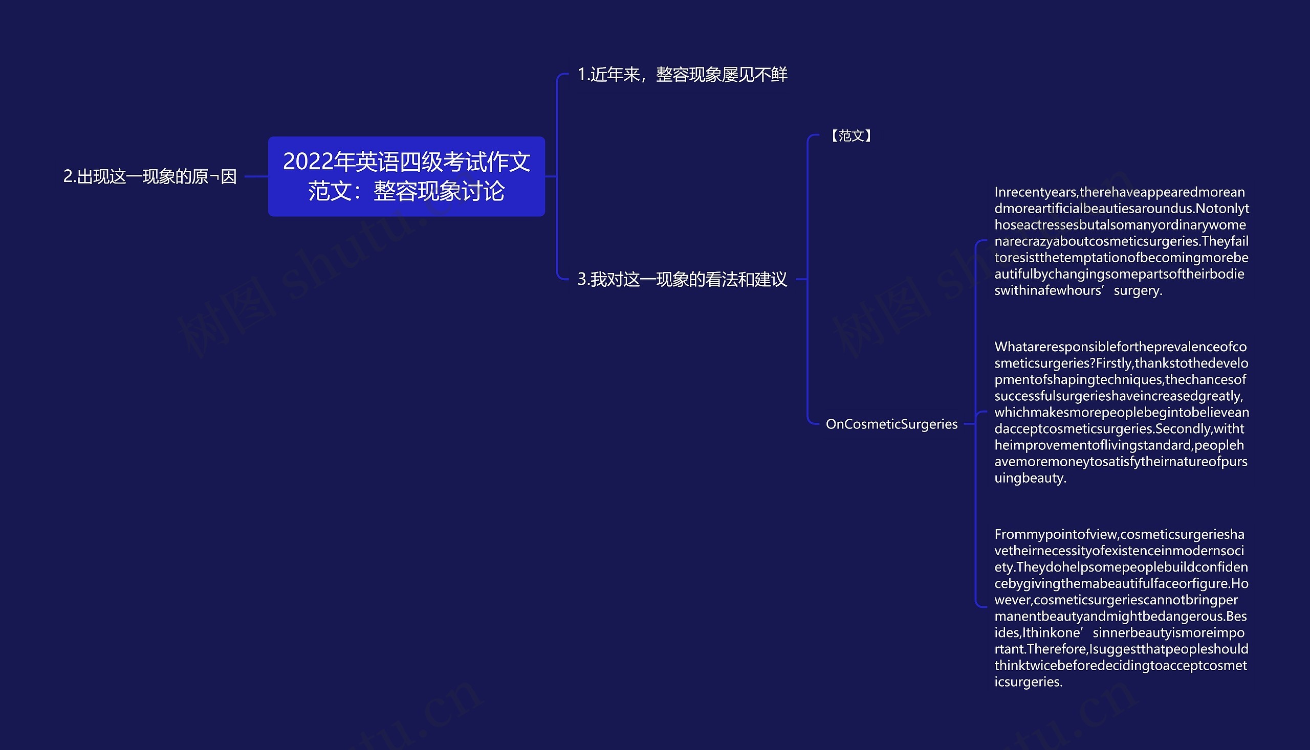 2022年英语四级考试作文范文：整容现象讨论思维导图