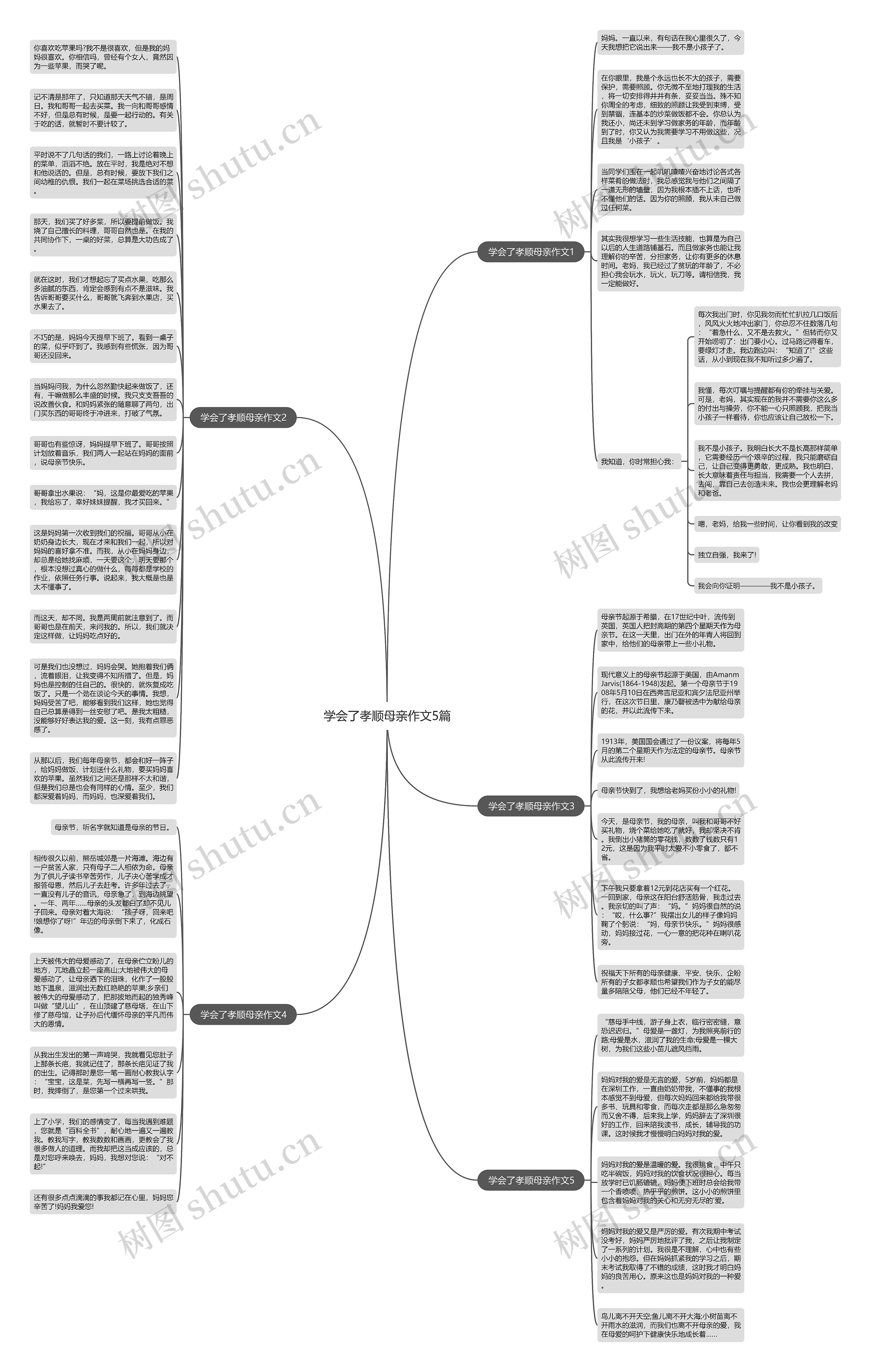 学会了孝顺母亲作文5篇思维导图
