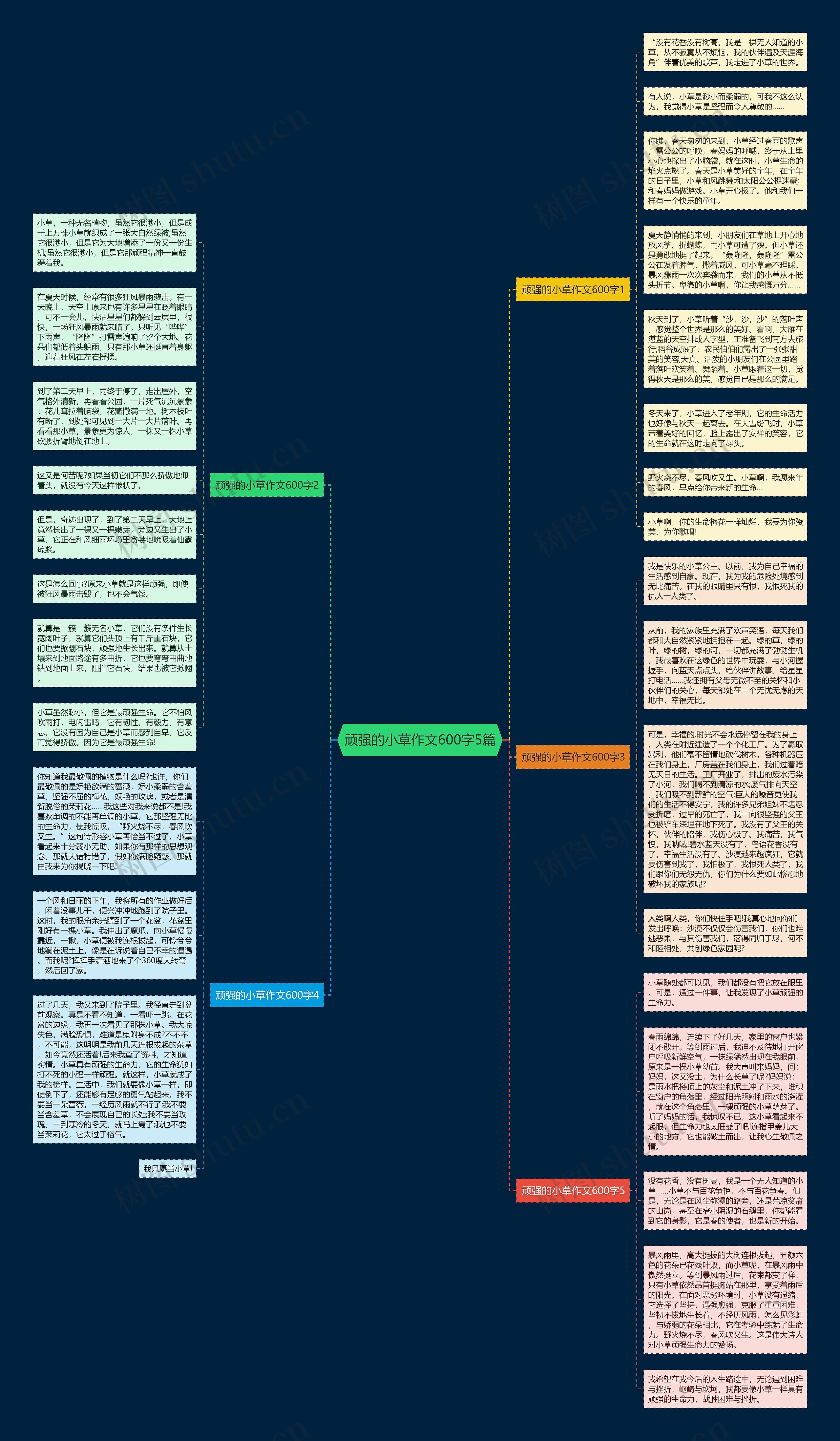 顽强的小草作文600字5篇思维导图高清图 顽强的小草作文600字5篇思维导图