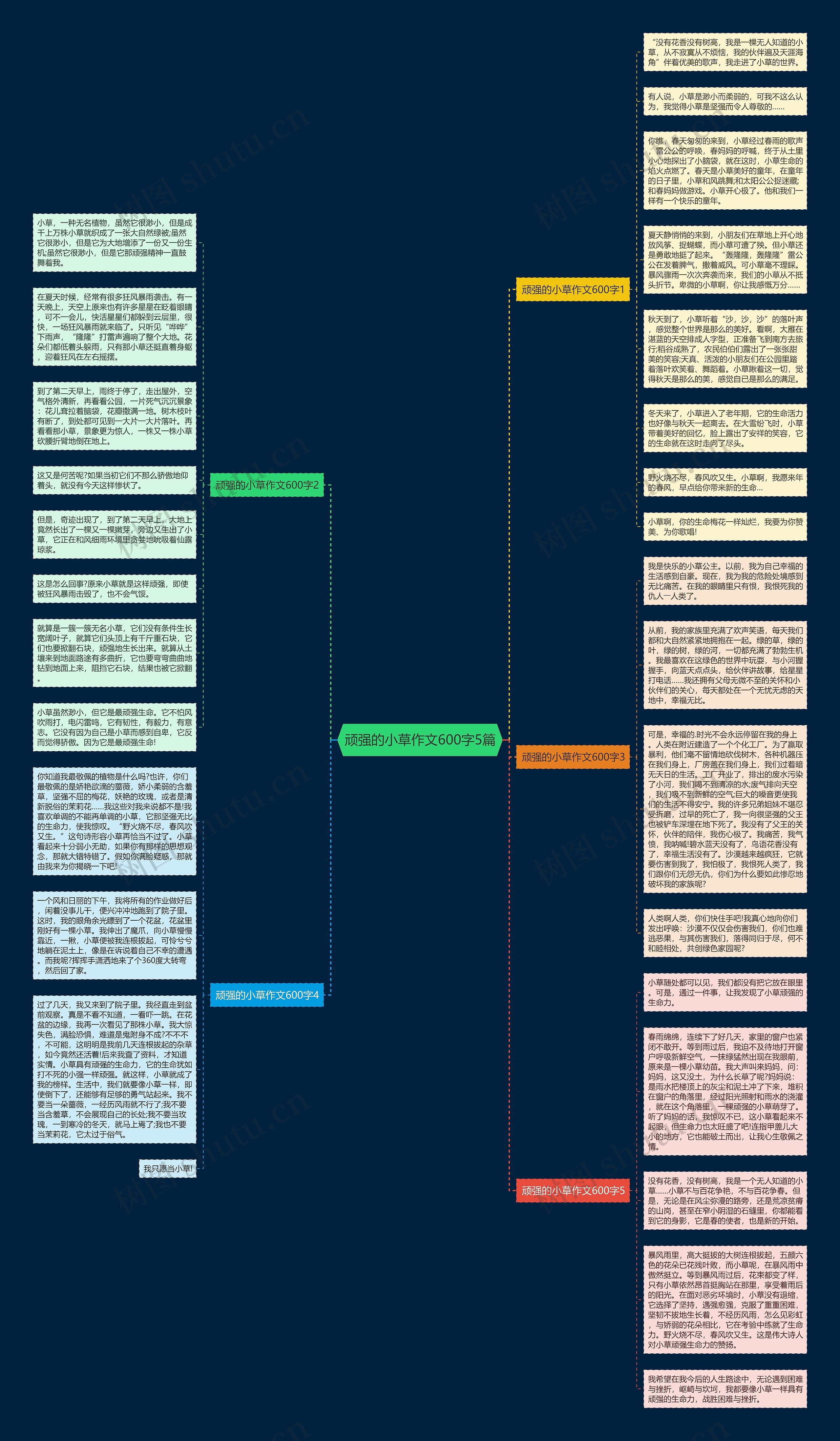顽强的小草作文600字5篇思维导图