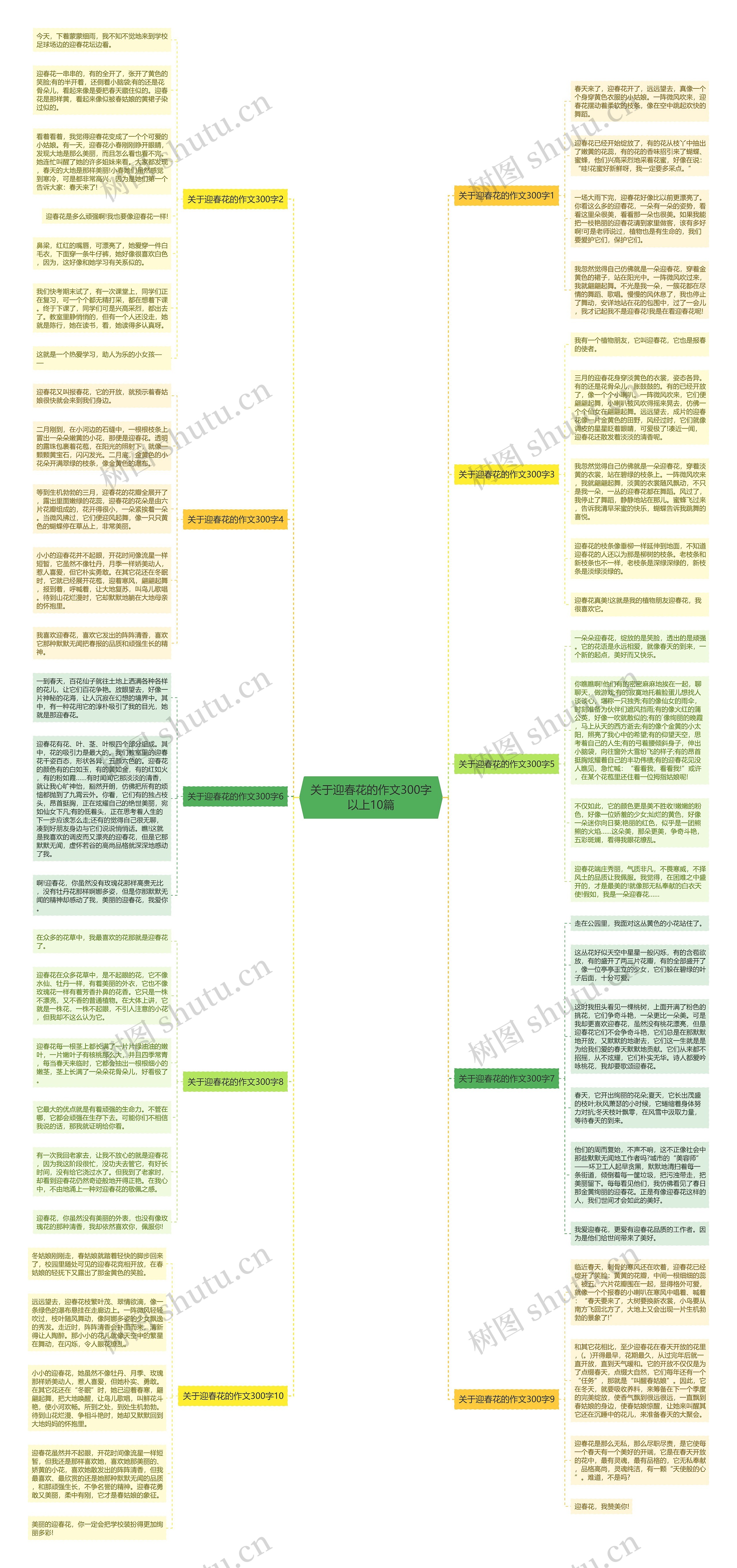 关于迎春花的作文300字以上10篇思维导图