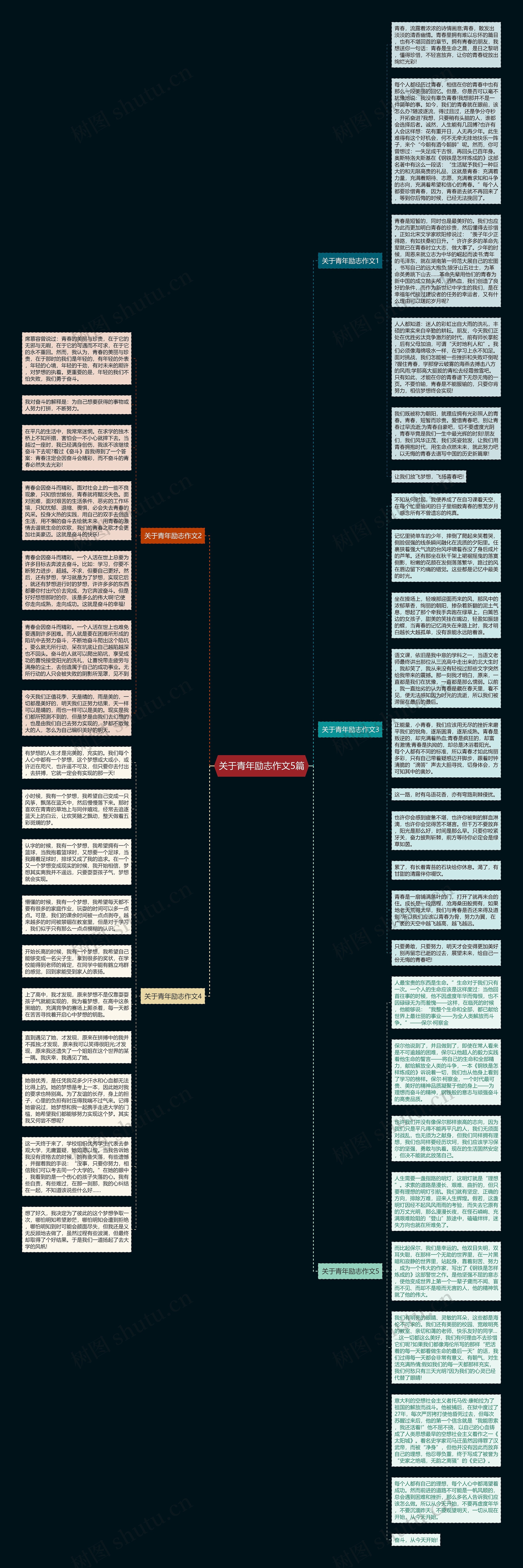 关于青年励志作文5篇思维导图