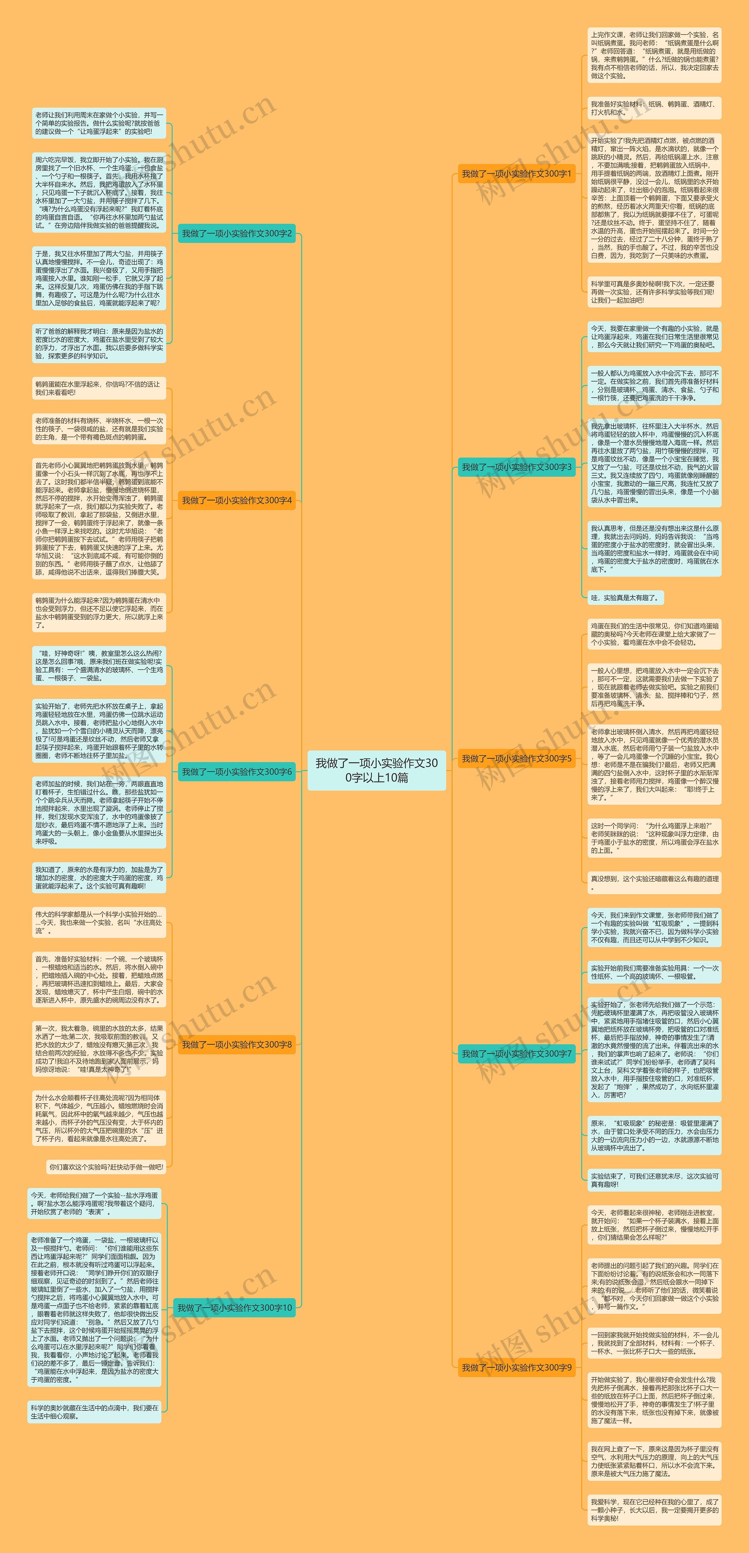 我做了一项小实验作文300字以上10篇思维导图