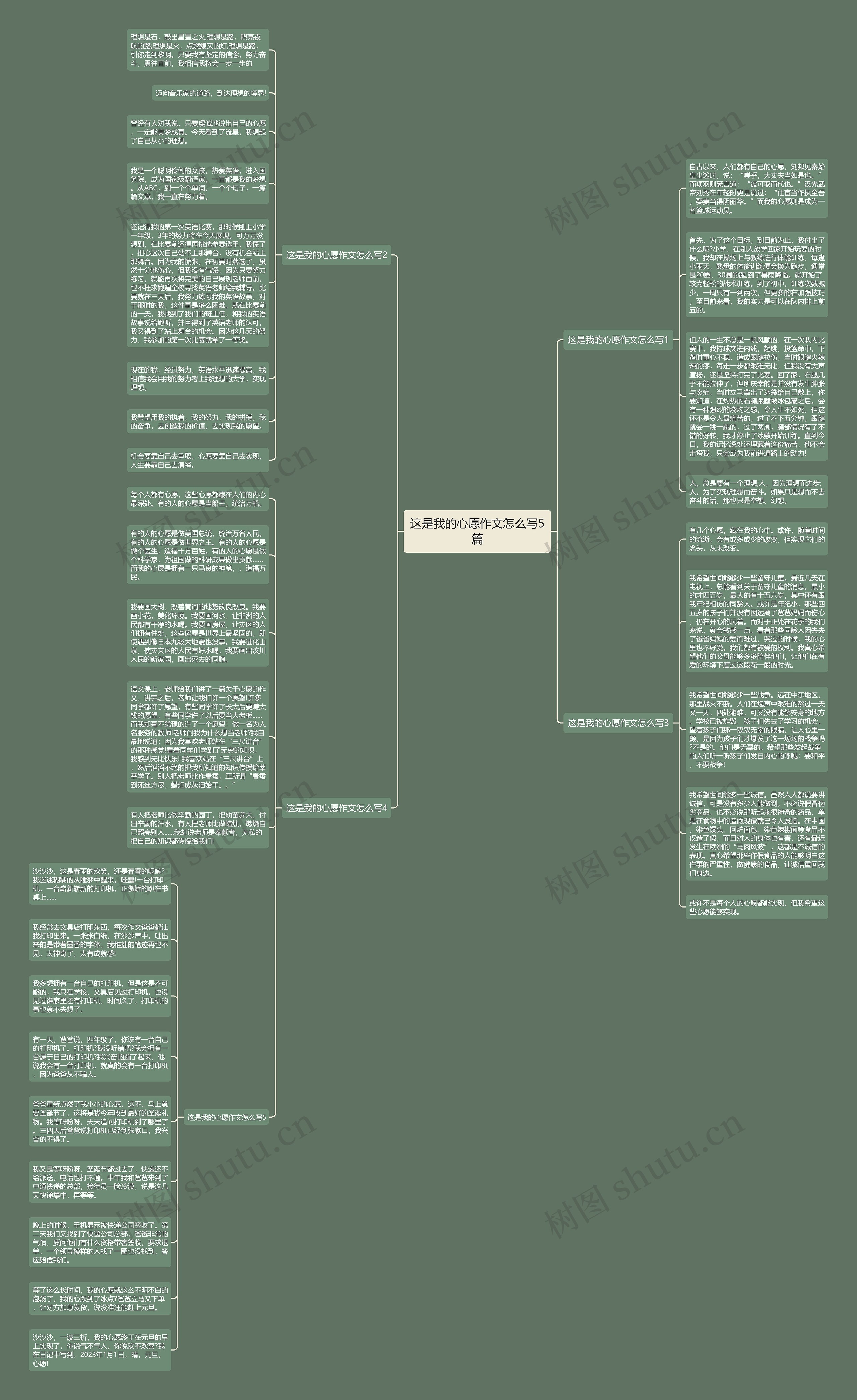 这是我的心愿作文怎么写5篇思维导图