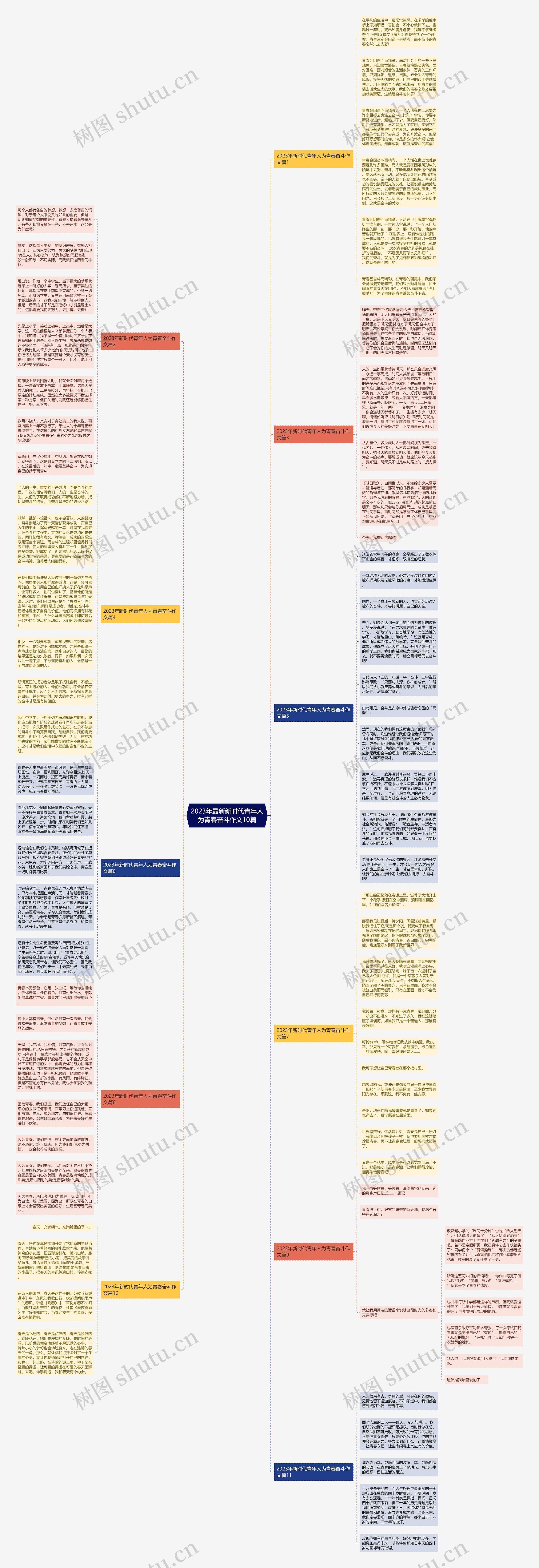 2023年最新新时代青年人为青春奋斗作文10篇思维导图