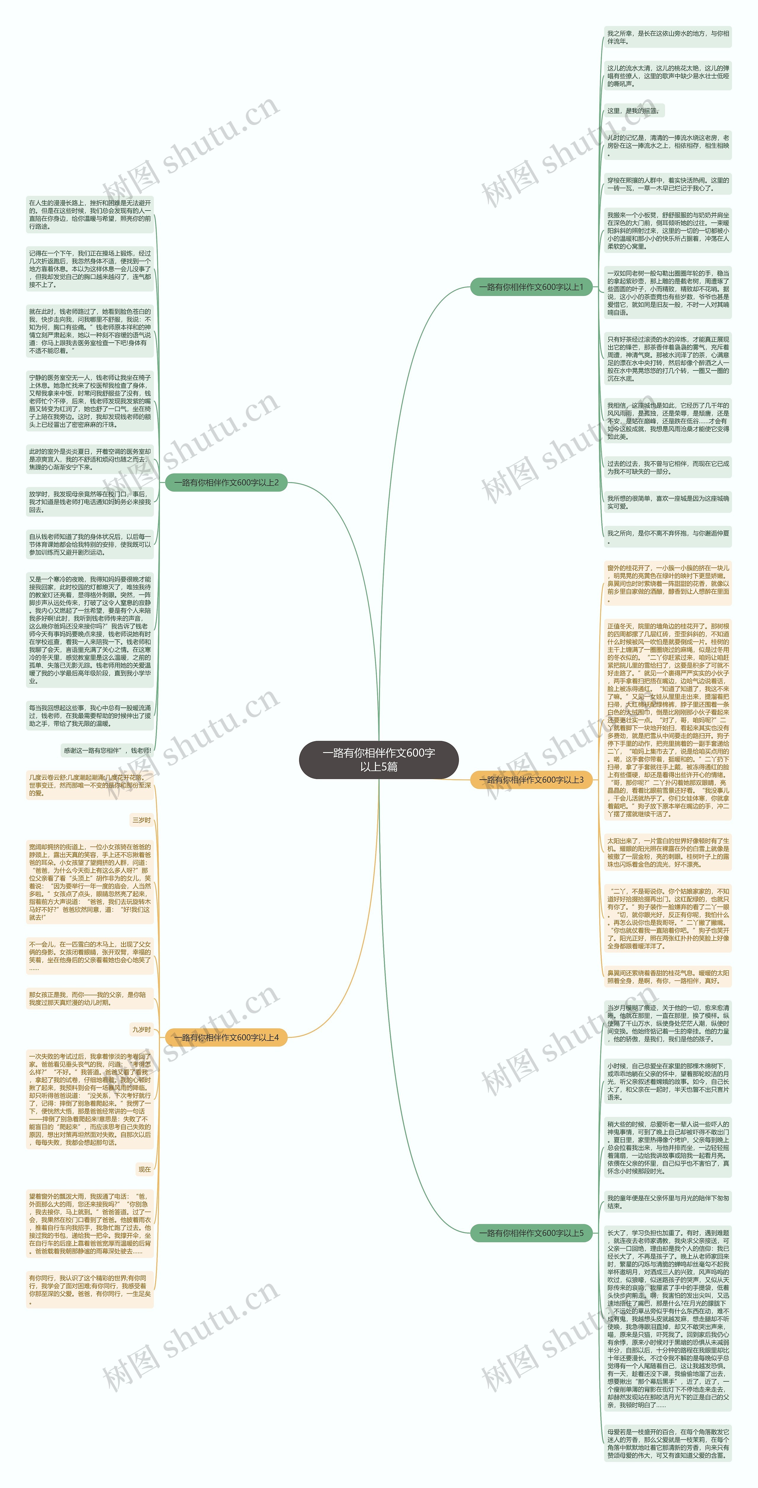 一路有你相伴作文600字以上5篇思维导图