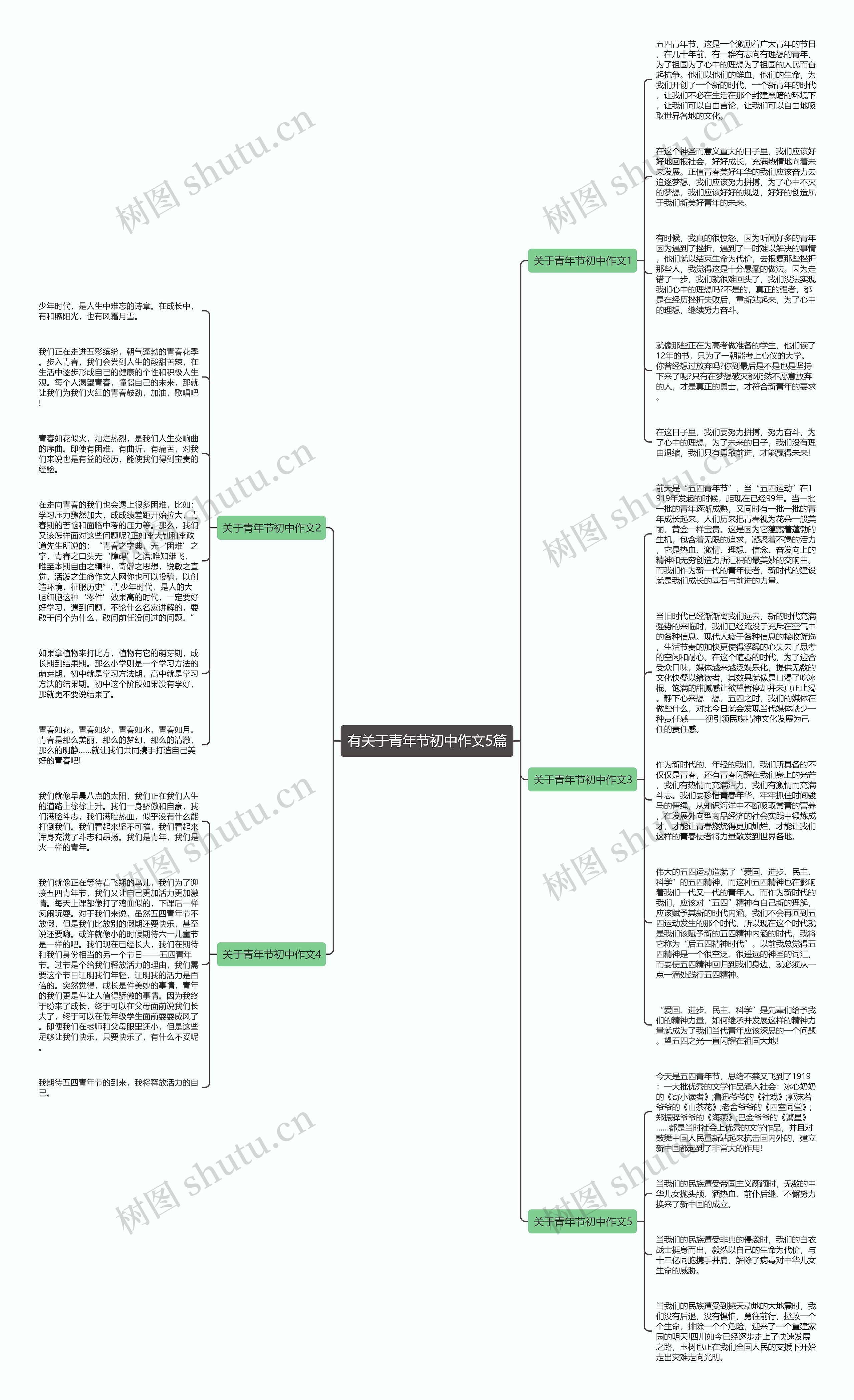 有关于青年节初中作文5篇思维导图