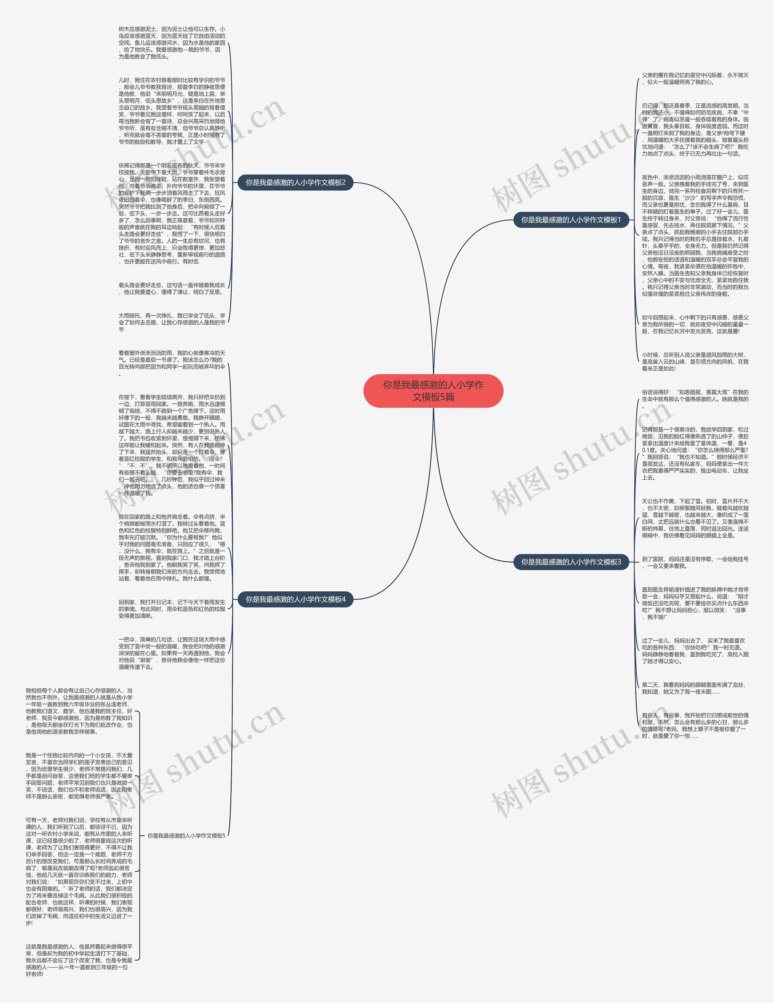 你是我最感激的人小学作文5篇思维导图
