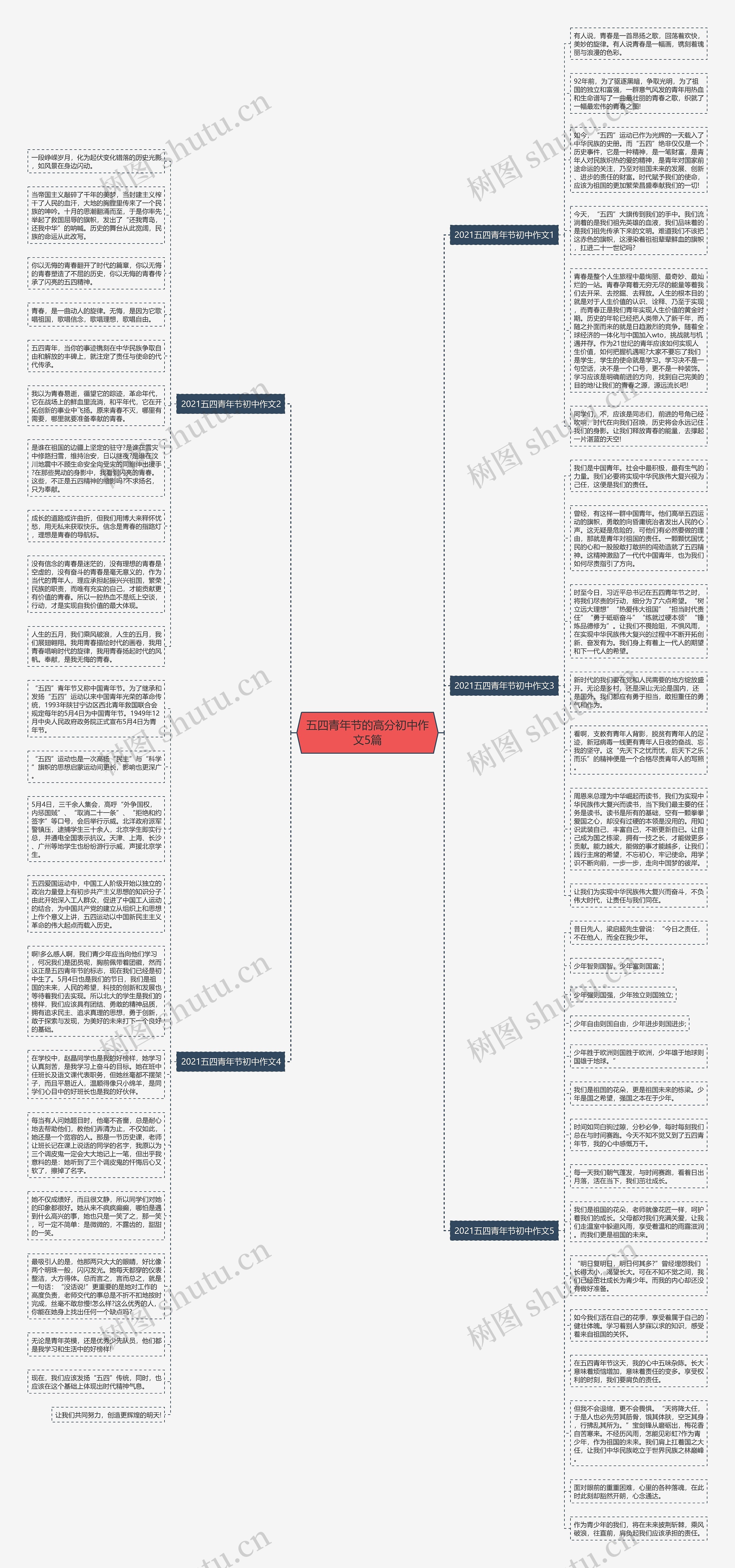 五四青年节的高分初中作文5篇思维导图