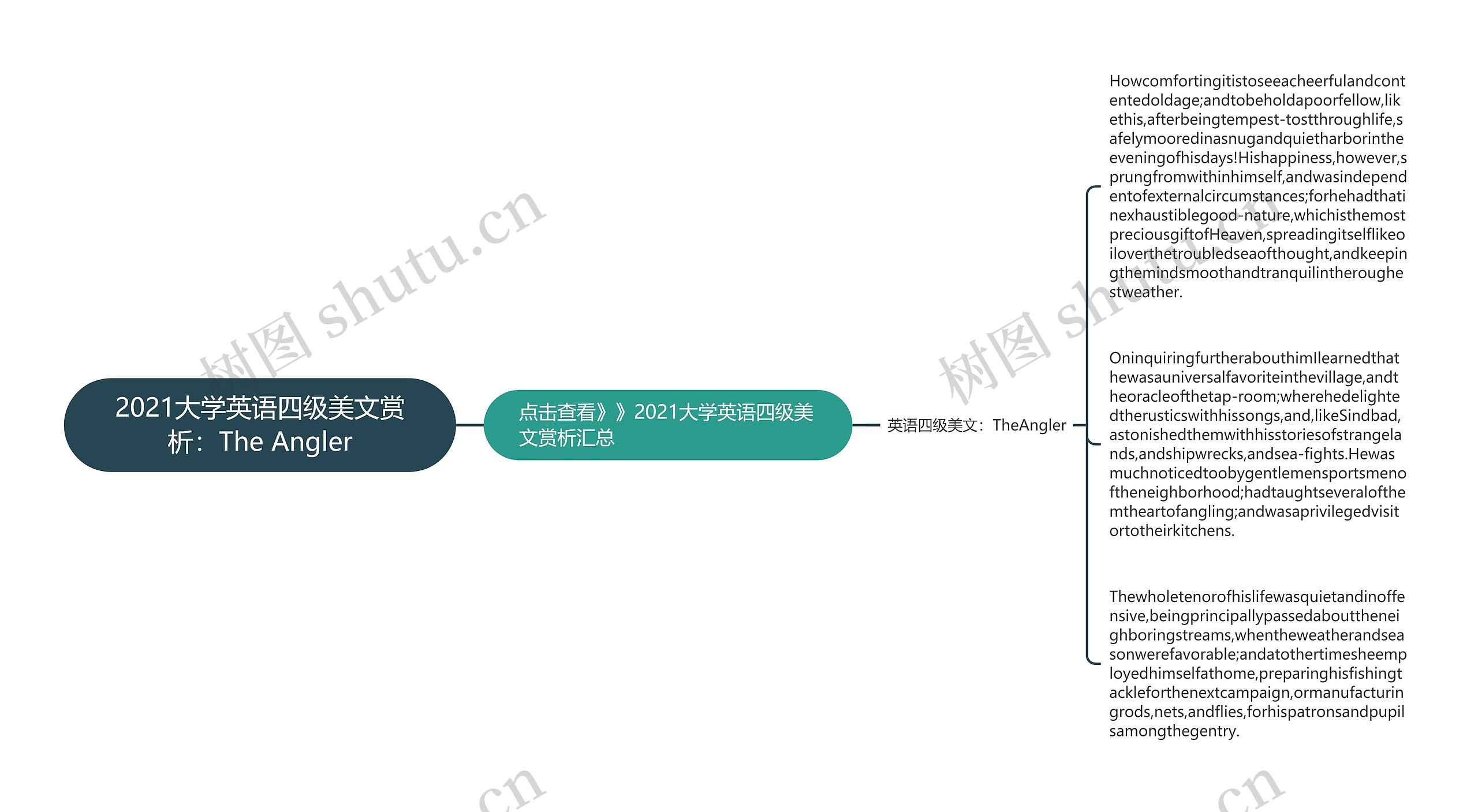 2021大学英语四级美文赏析：The Angler思维导图