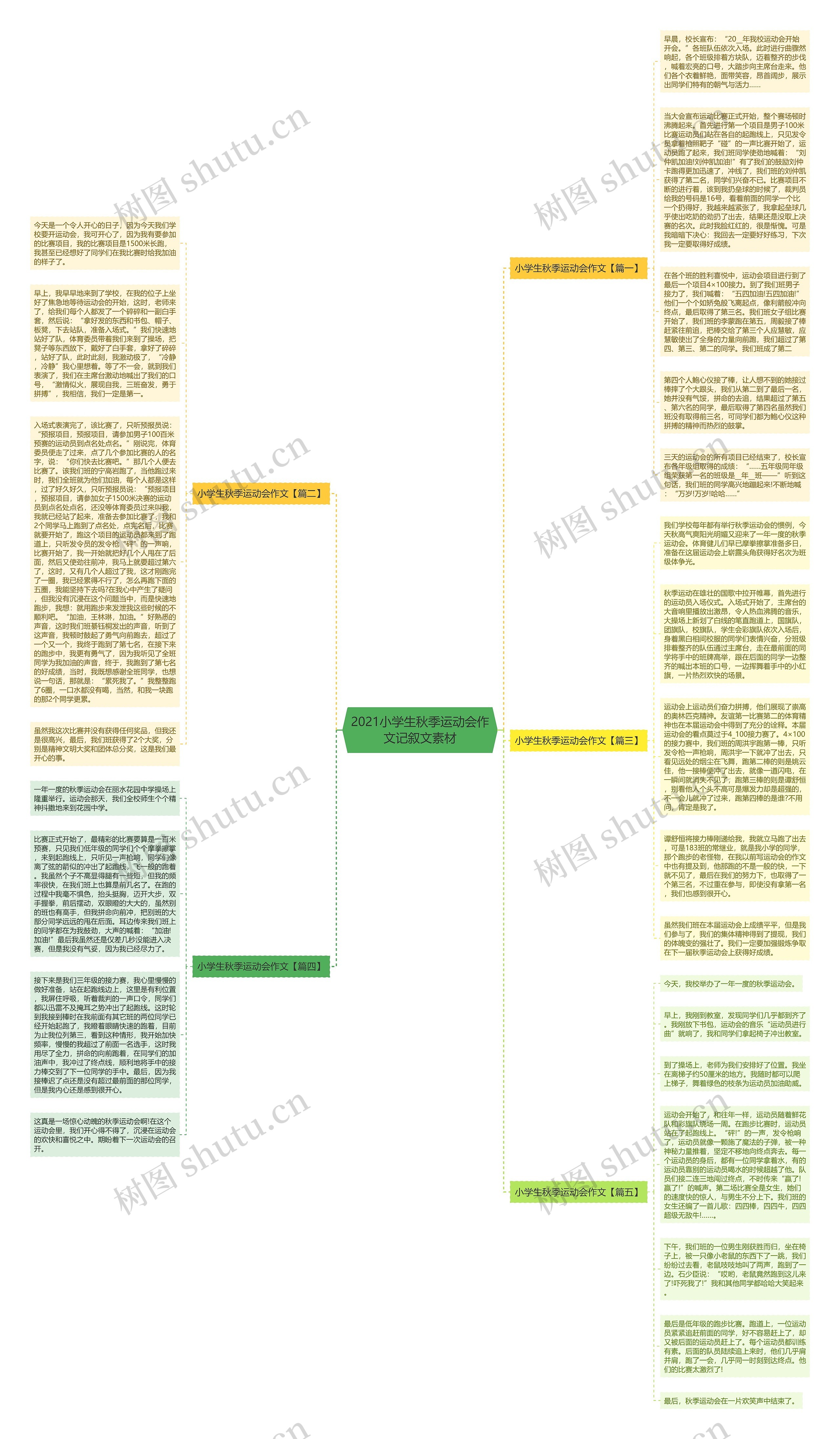 2021小学生秋季运动会作文记叙文素材
