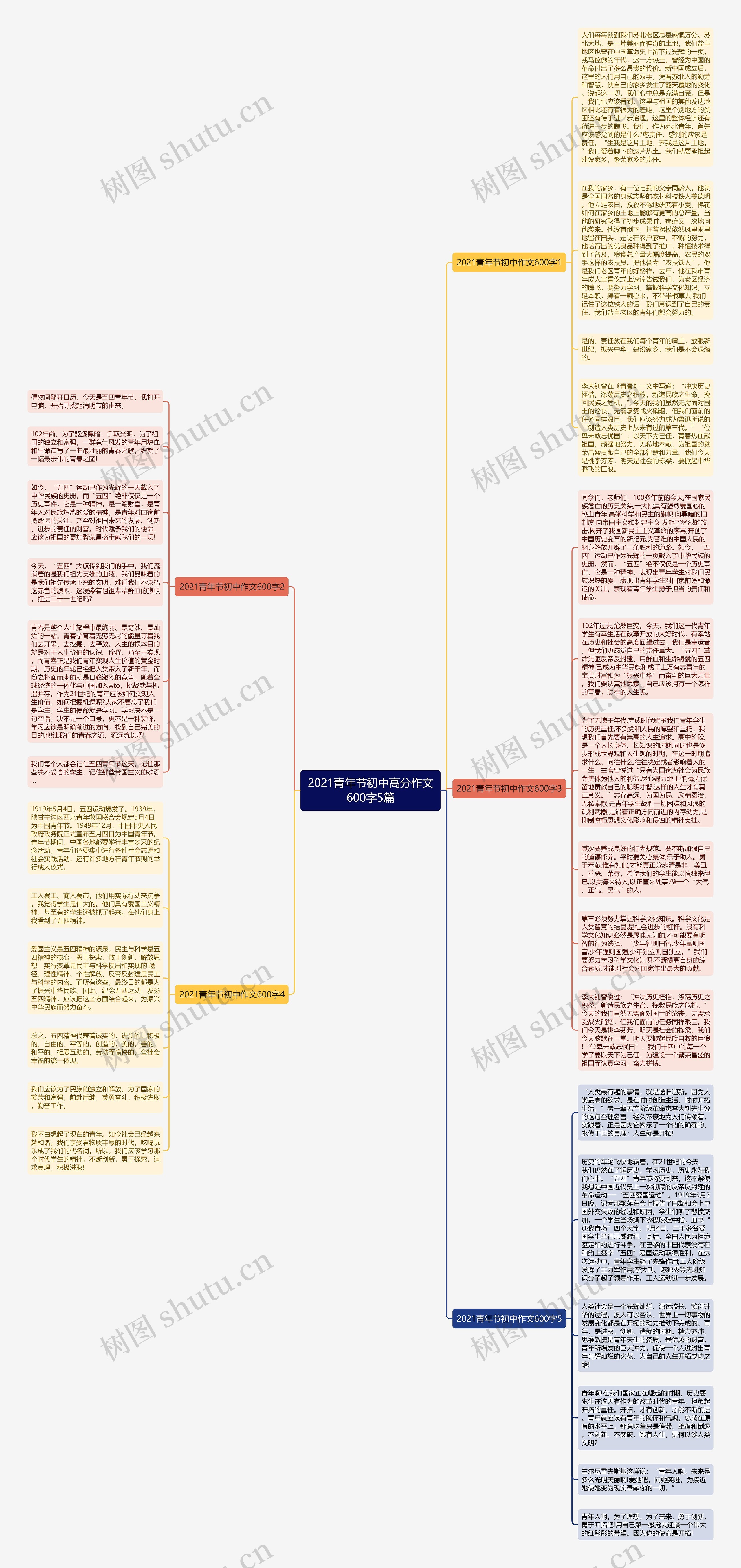 2021青年节初中高分作文600字5篇思维导图