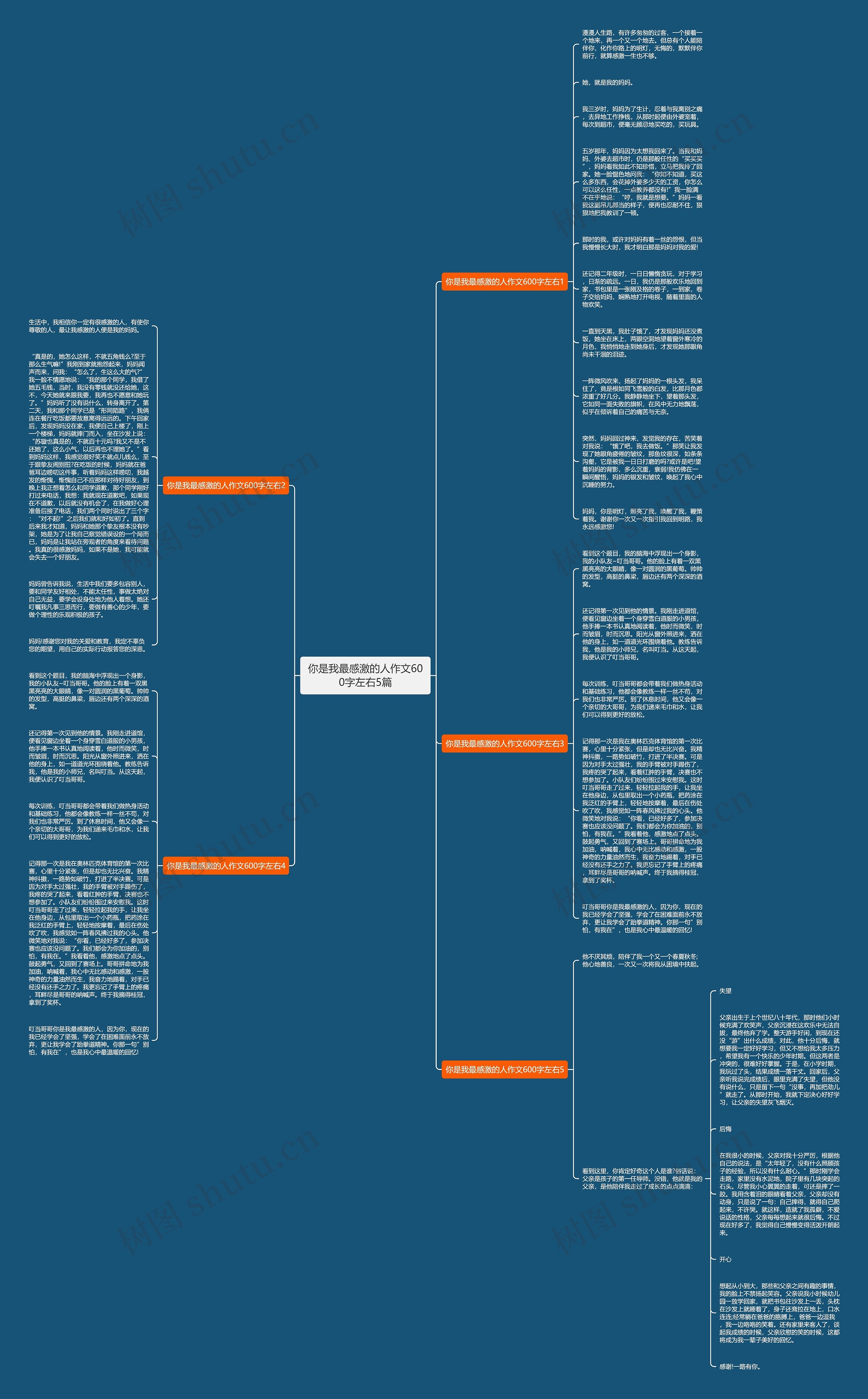 你是我最感激的人作文600字左右5篇思维导图
