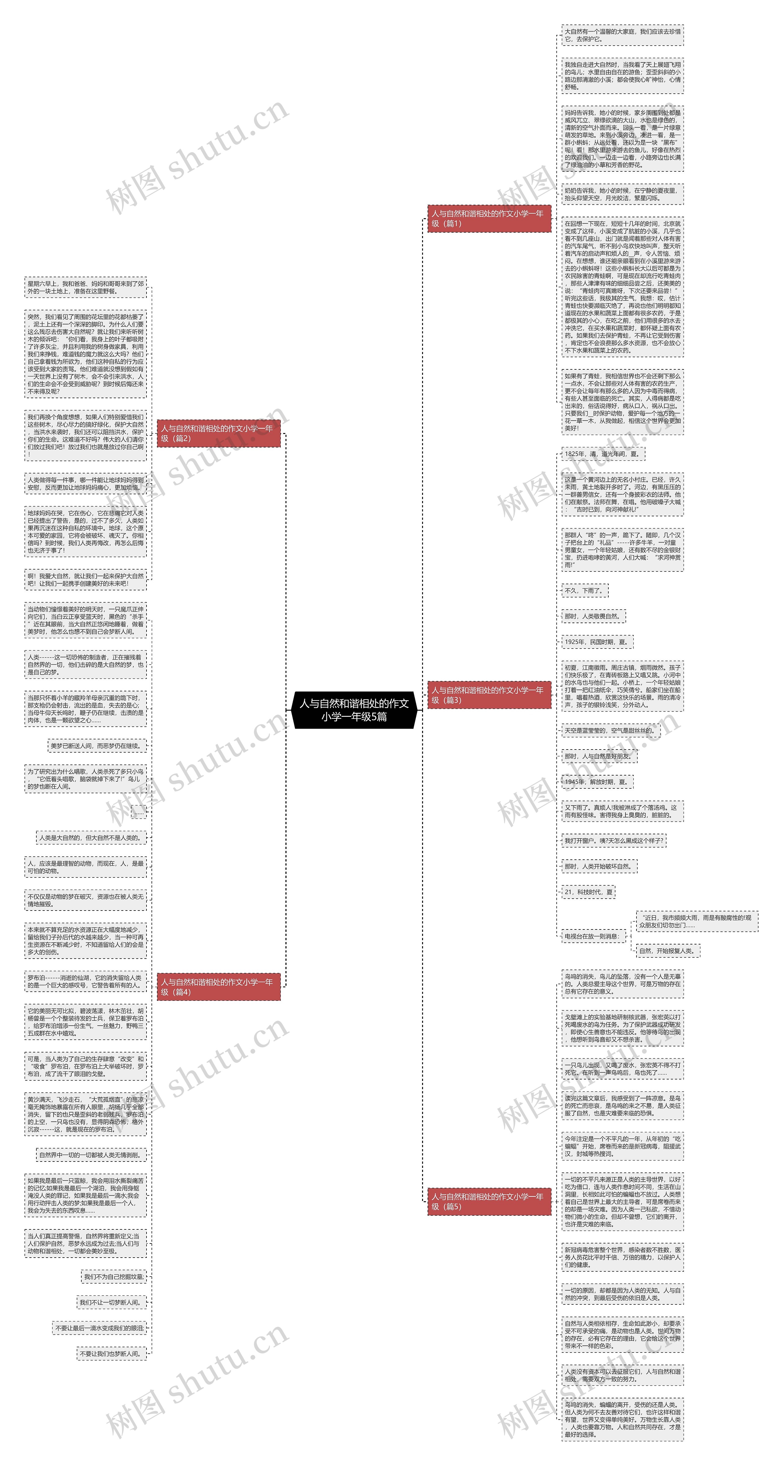 人与自然和谐相处的作文小学一年级5篇思维导图