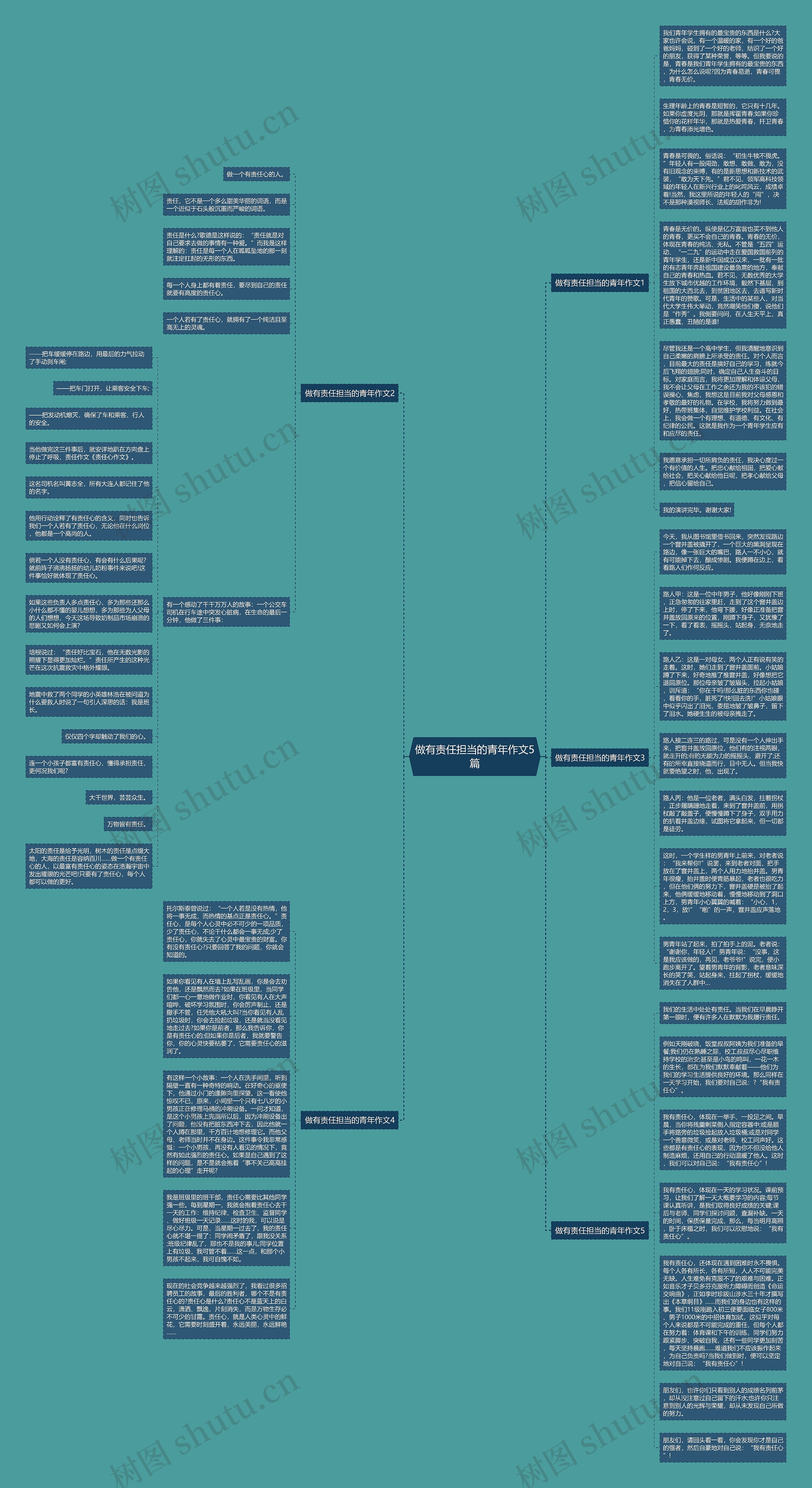 做有责任担当的青年作文5篇思维导图