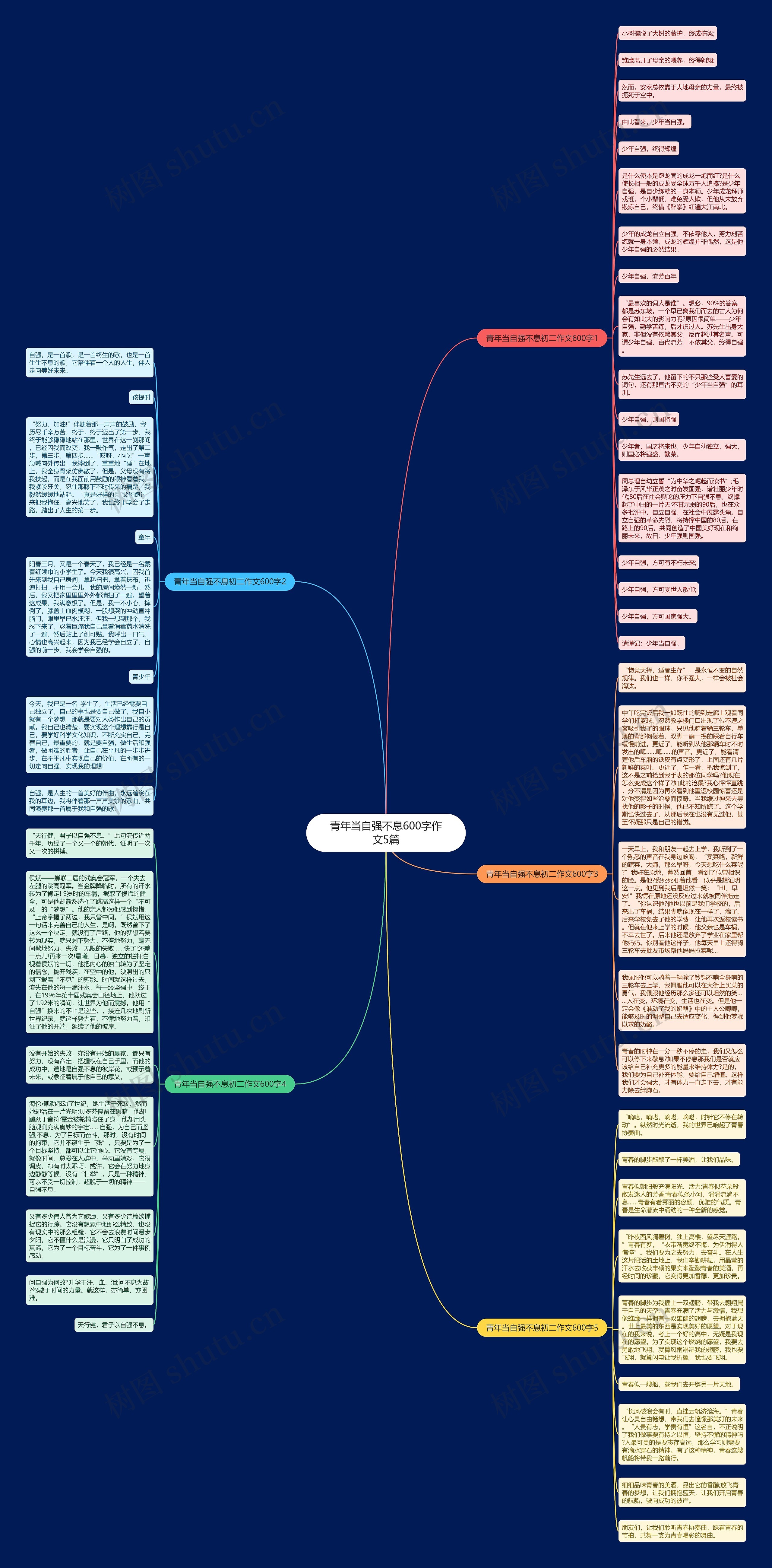 青年当自强不息600字作文5篇思维导图