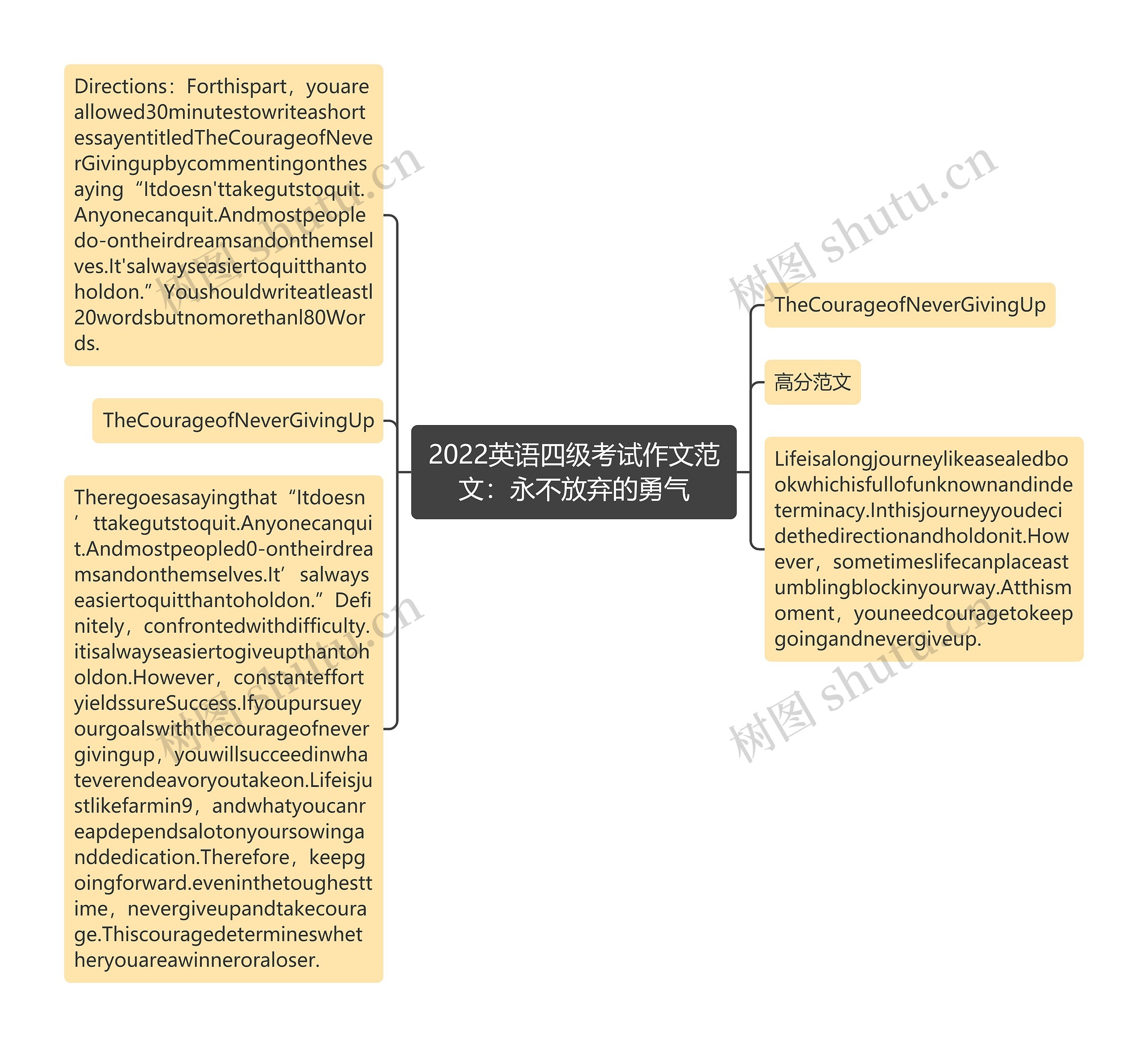 2022英语四级考试作文范文：永不放弃的勇气思维导图