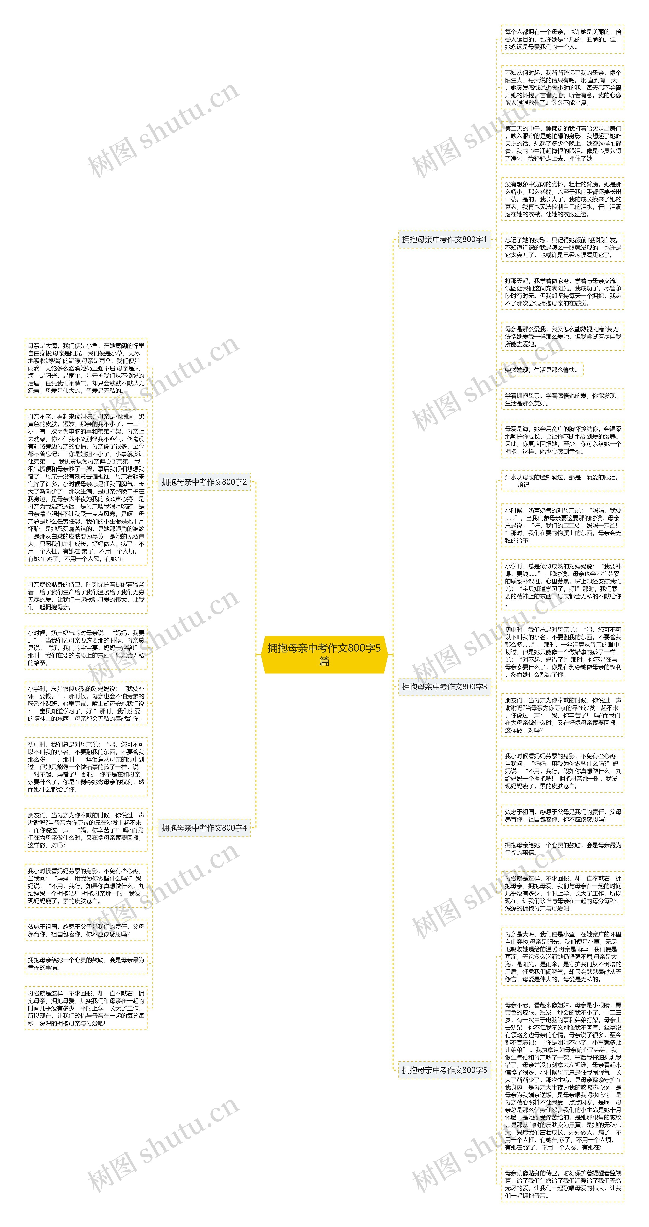 拥抱母亲中考作文800字5篇思维导图