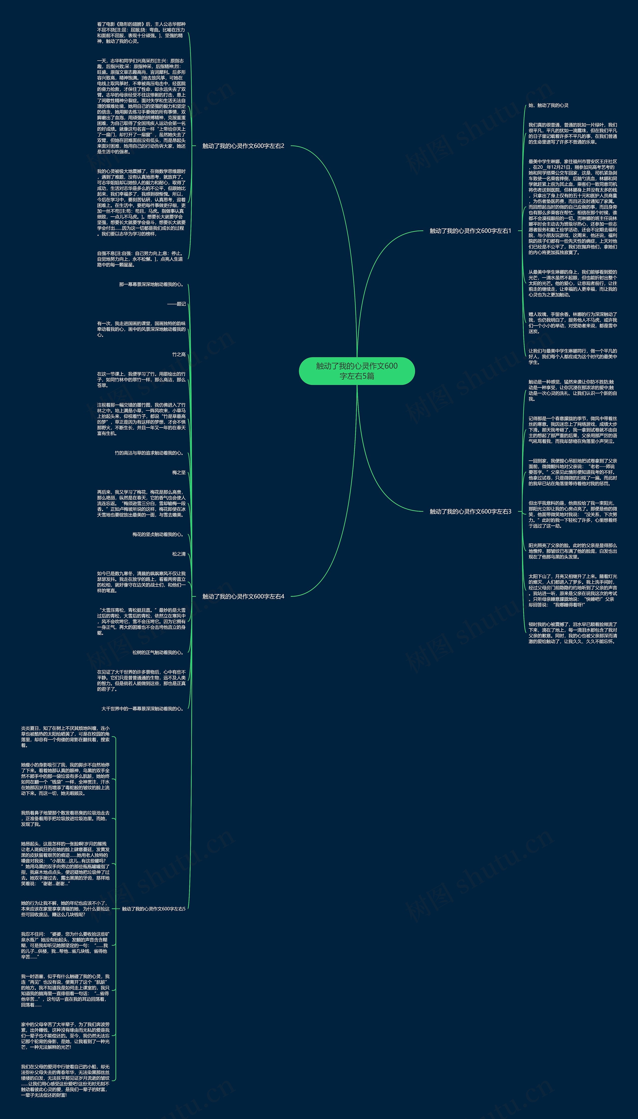 触动了我的心灵作文600字左右5篇思维导图